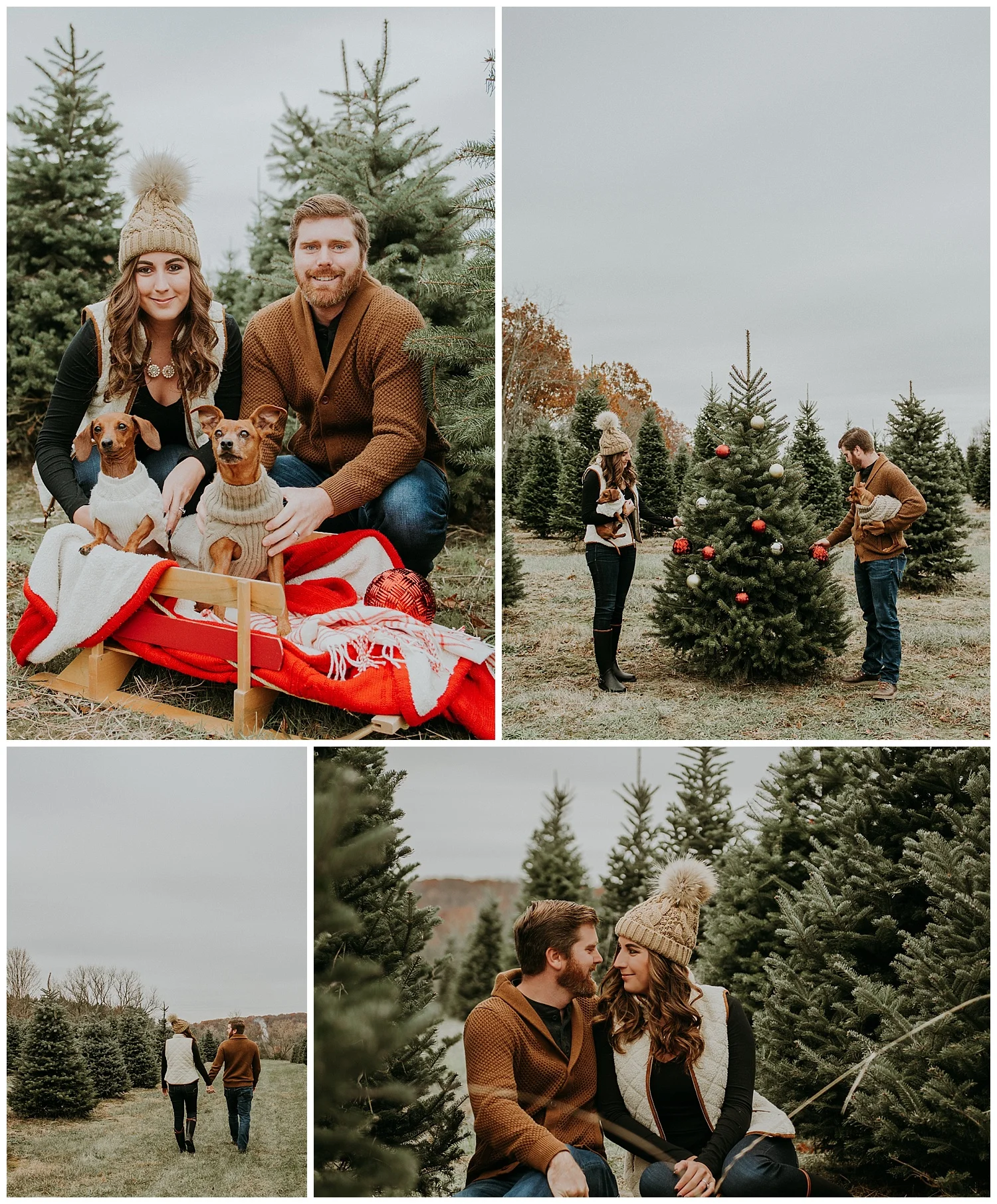Denmar Tree Farm - Holly McMurter Photographs