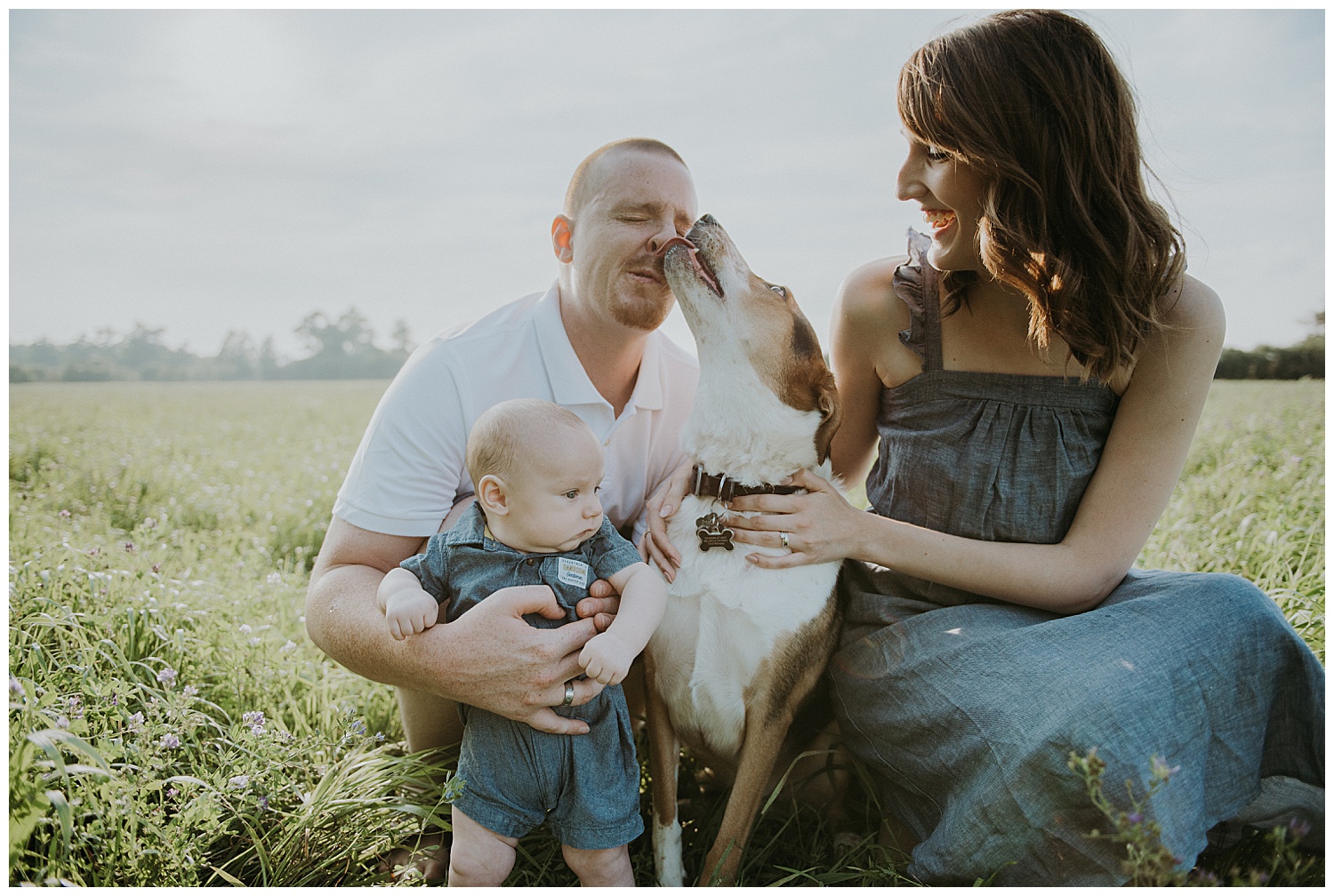 hollymcmurterphotographs-princeedwardcounty.jpg