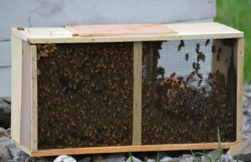 Package Bee Installation.jpg