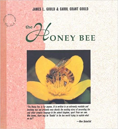 Honey Bee.jpg