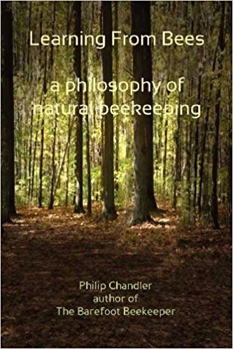 Learning from Bees.jpg