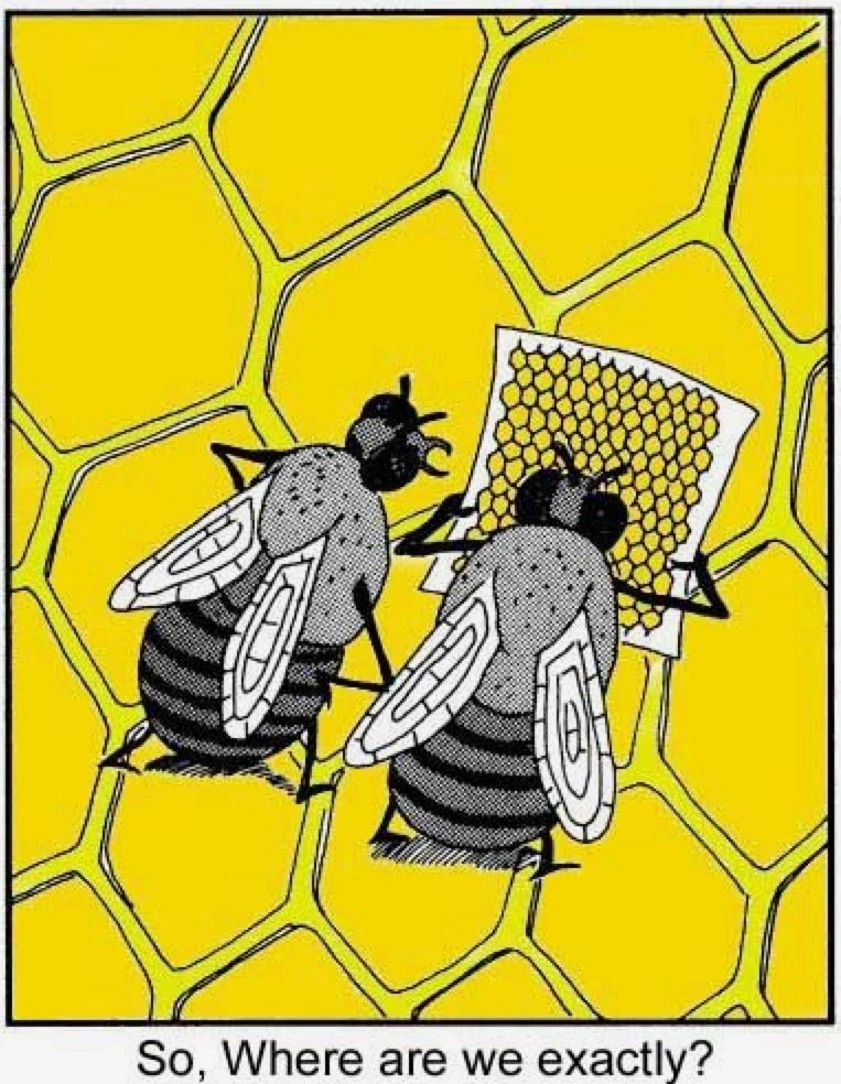 Registration for 2023 Beginning Beekeeping Course has closed