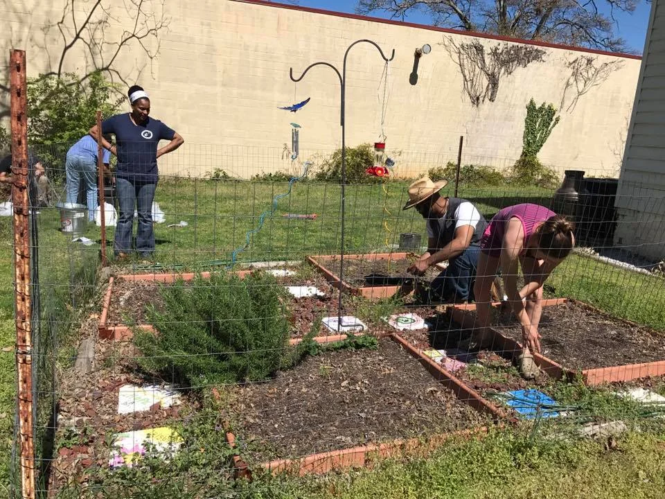 garden.jpg