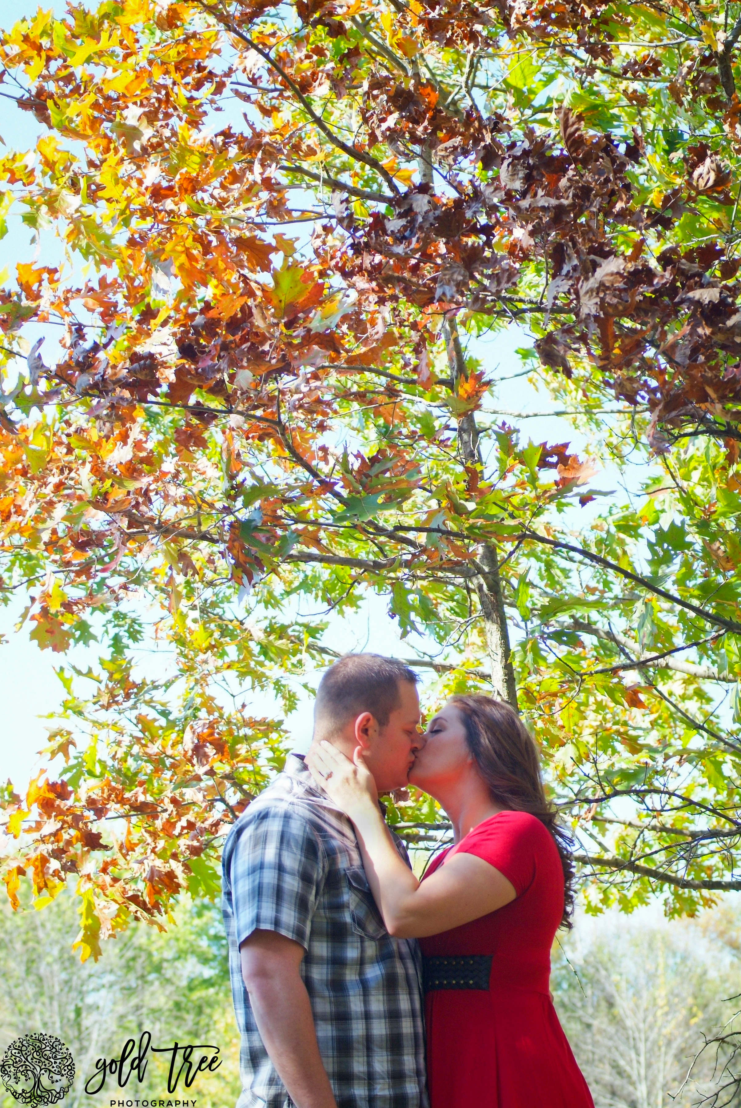 Lindsey & Geoff engagement- Gold Tree Photography -1 1.jpg