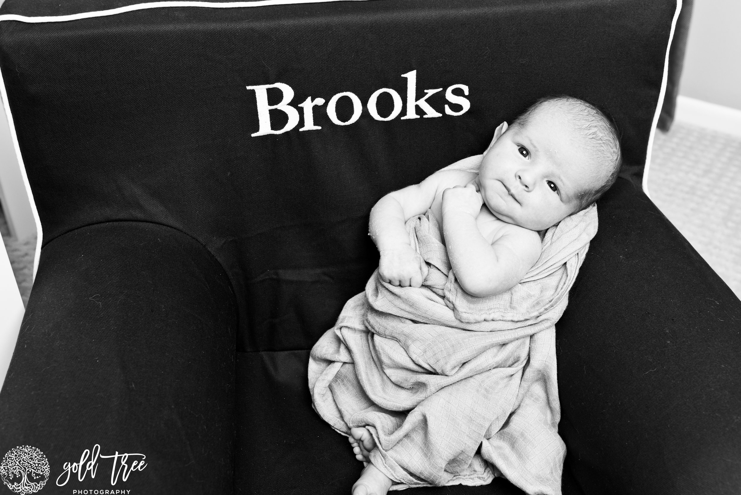 Brookslogo30-GOLDTREEPHOTOGRAPHY-1.jpg