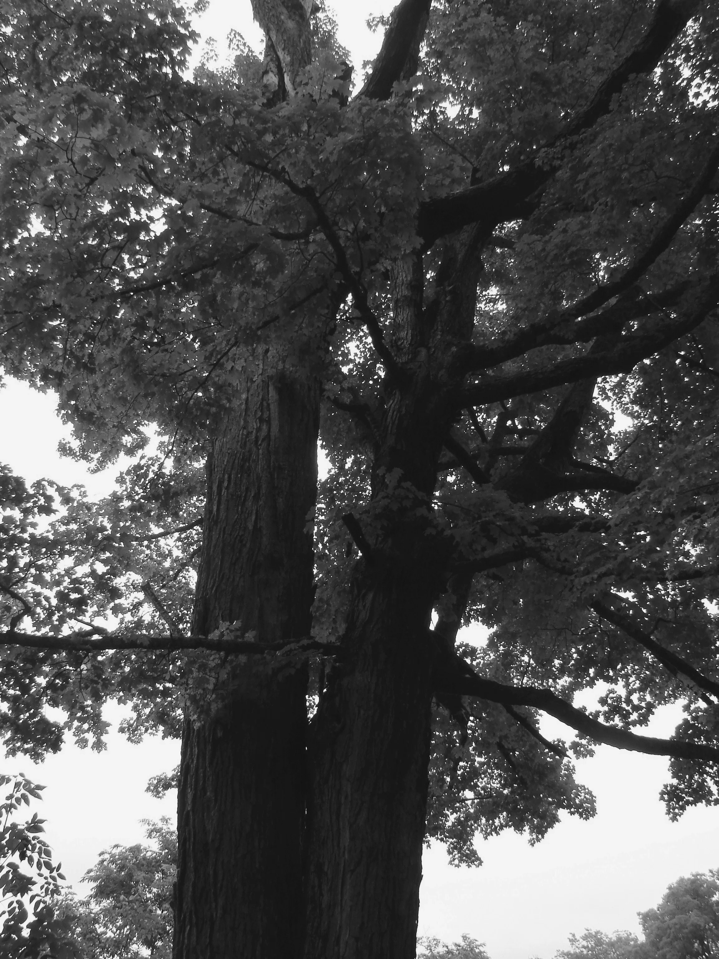 DSC03287.JPG