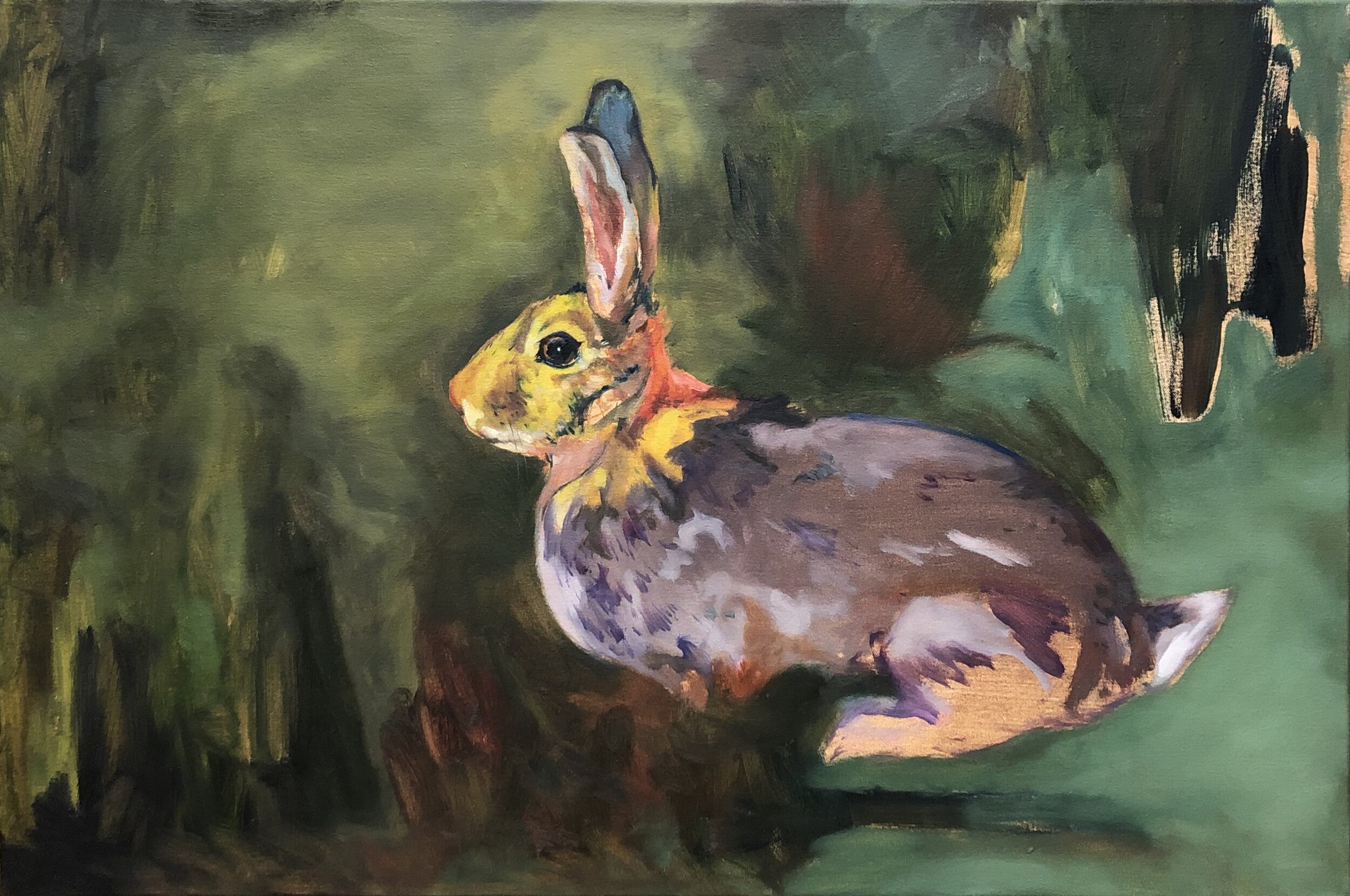 Adrian's Rabbit