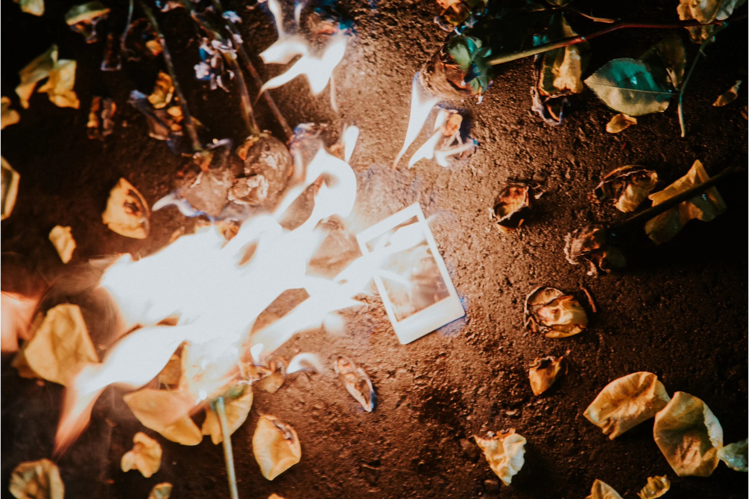 A is For Arrows releases a music video for their “Roses” single