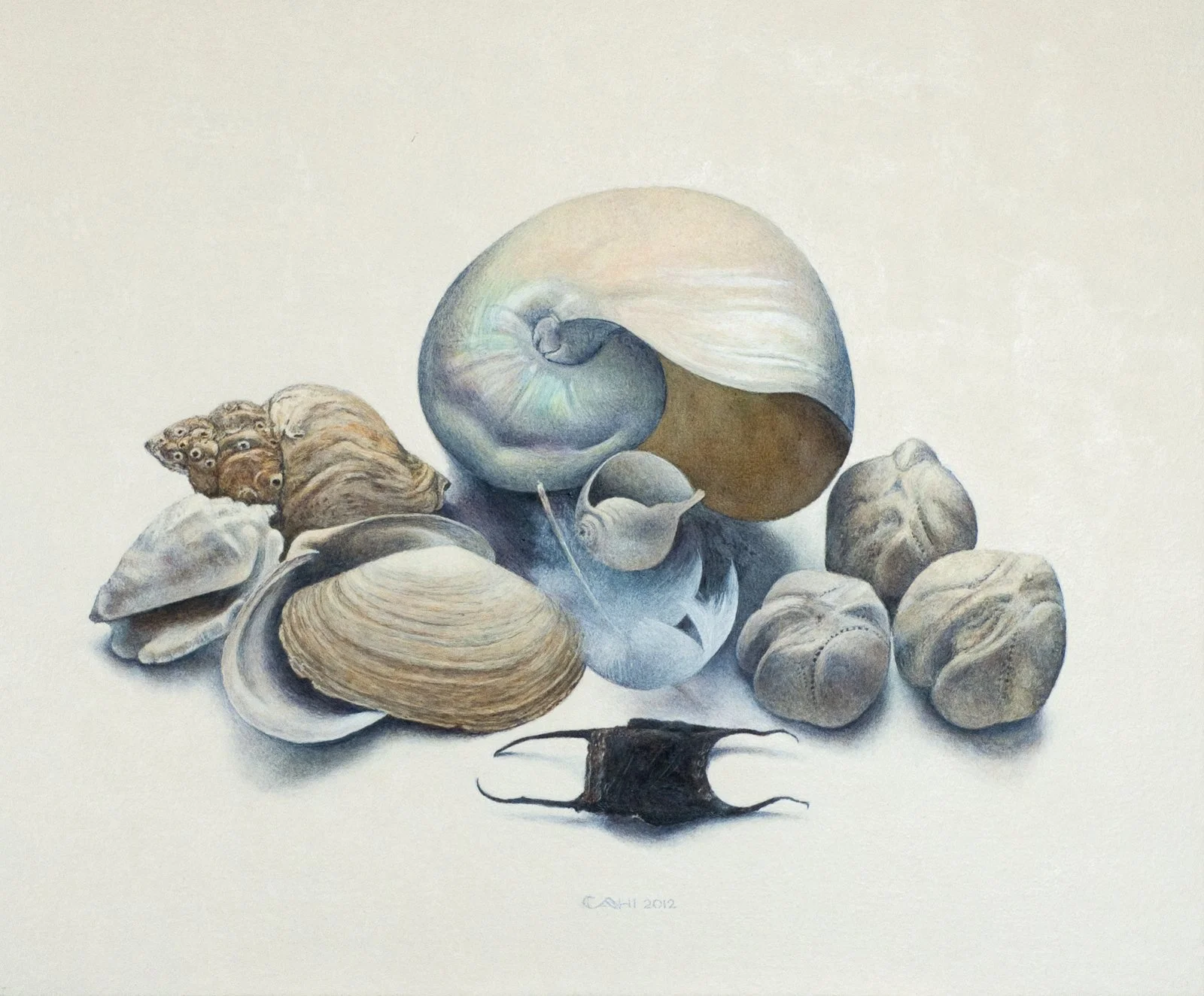 Stilleven met veer
en rogge ei
31 x 38 cm