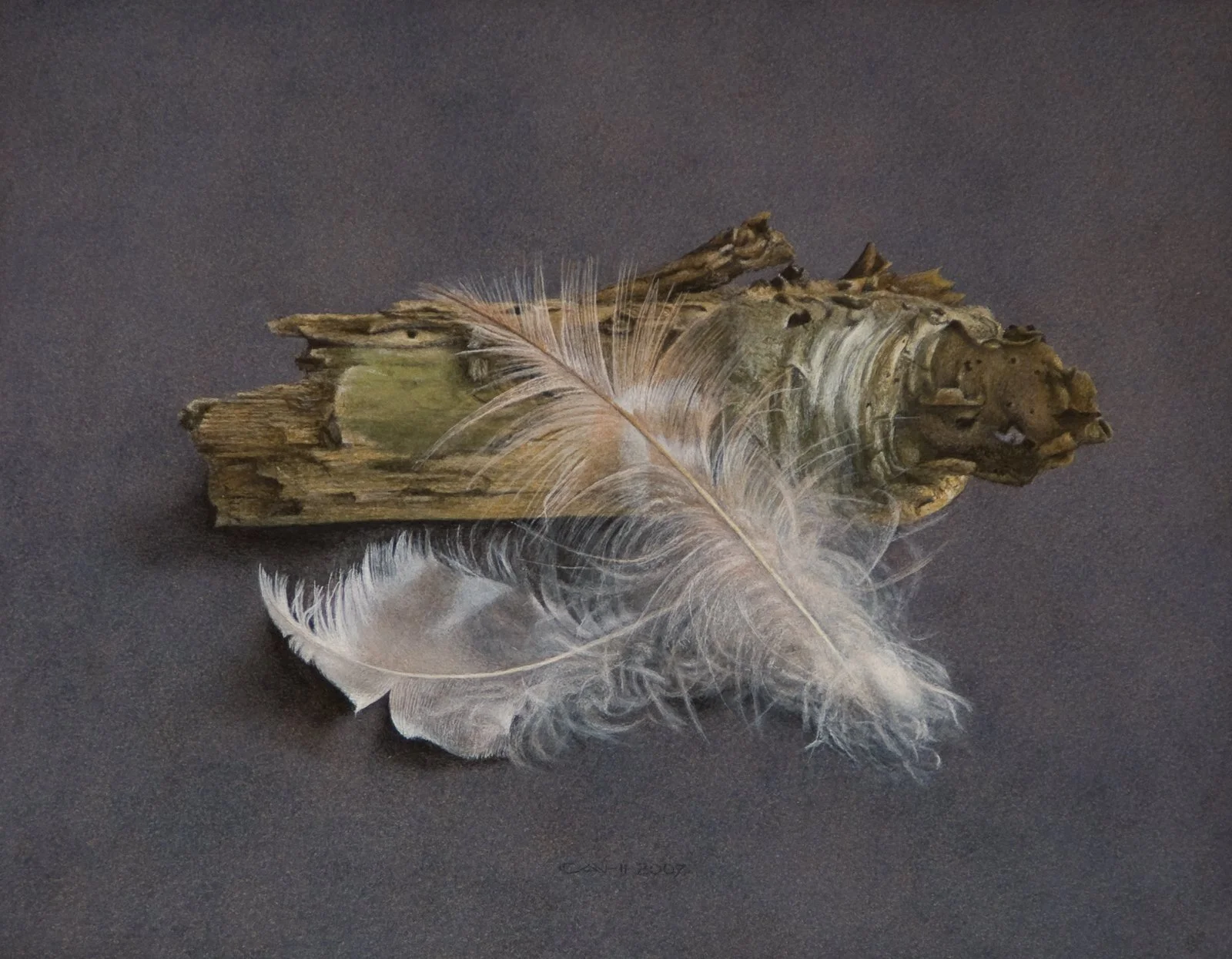 Stilleven met stronk en veren
19,5 x 24 cm