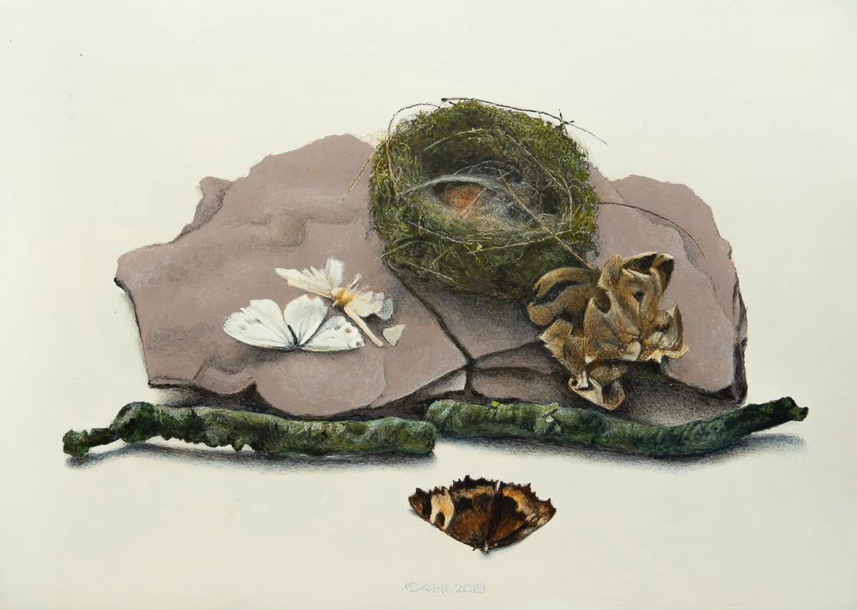 Overgebleven II
25 x 35 cm