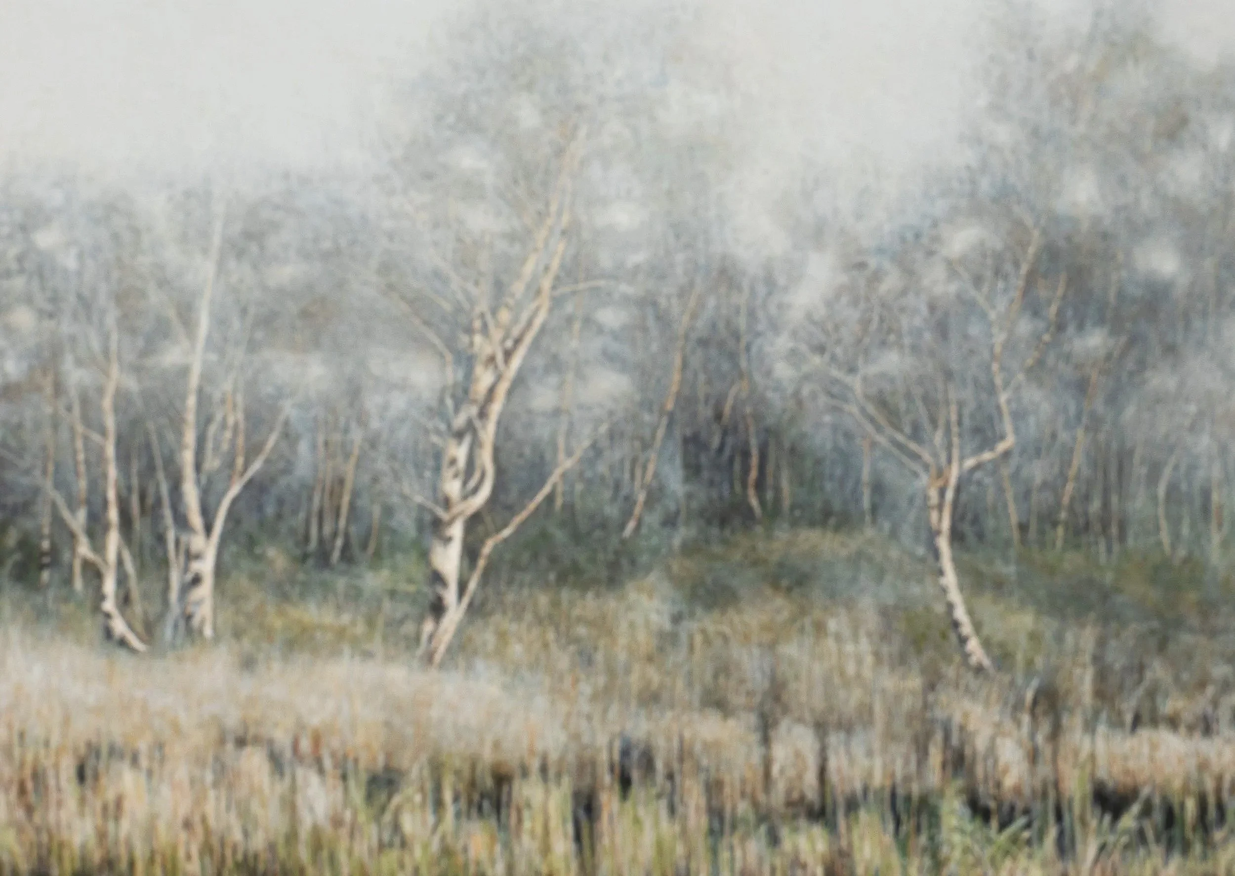 Winter II
25 x 35 cm