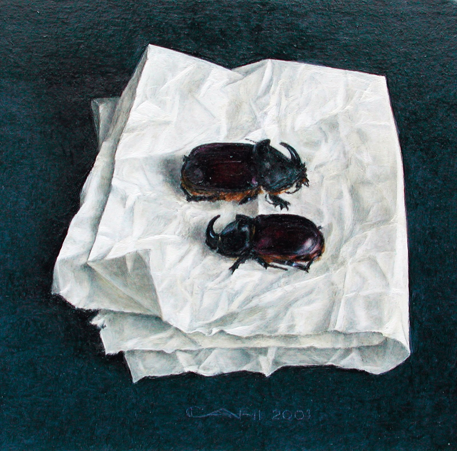 Stilleven met
papier en kevers
15 x 15 cm