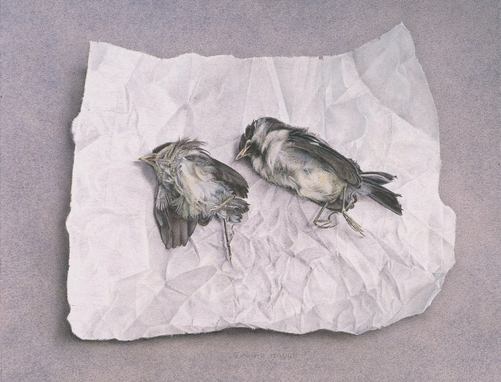 Verstild IV
22 x 28 cm