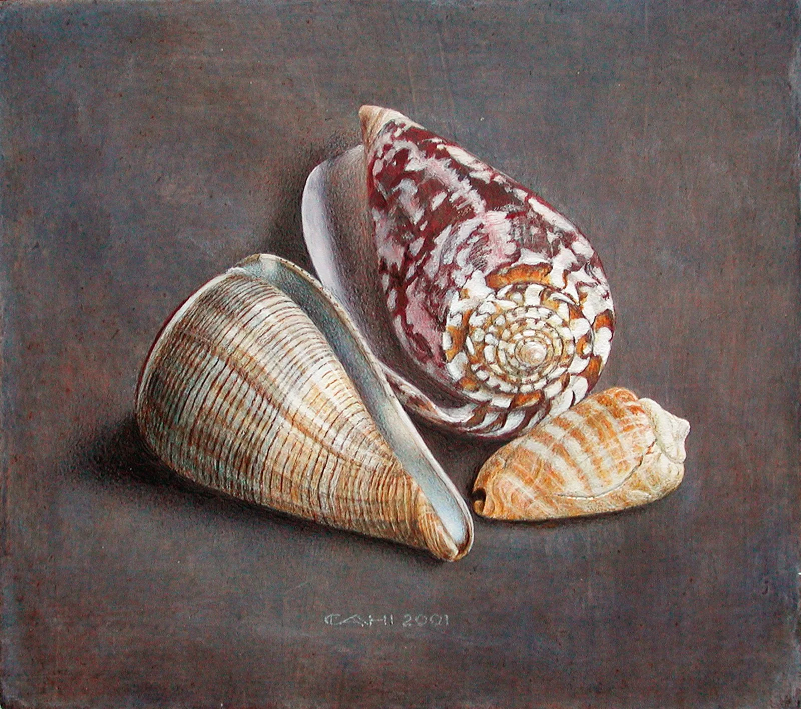 Drie Schelpen
20 x 20 cm