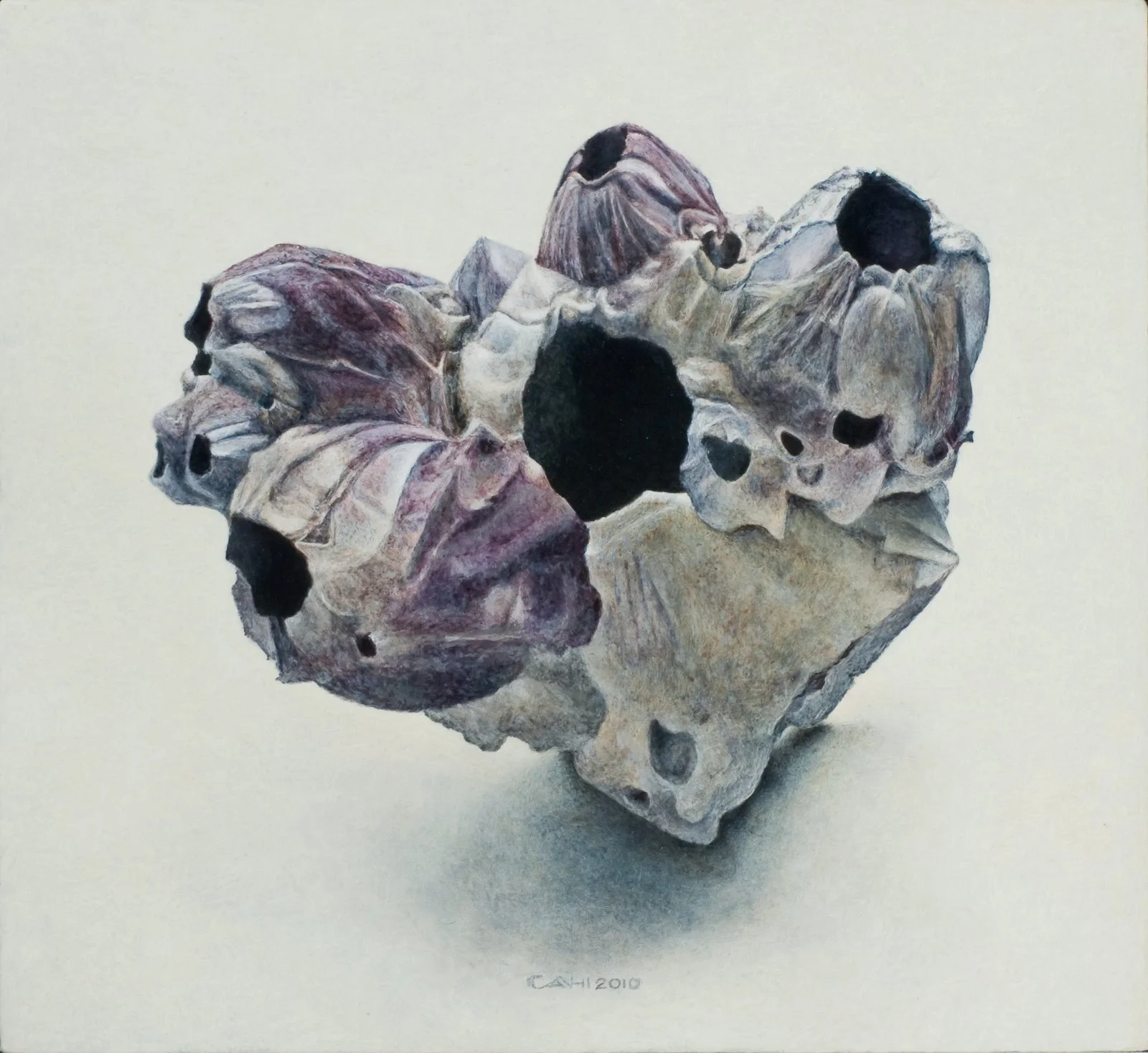 Zeepokken
23,8 x 26 cm