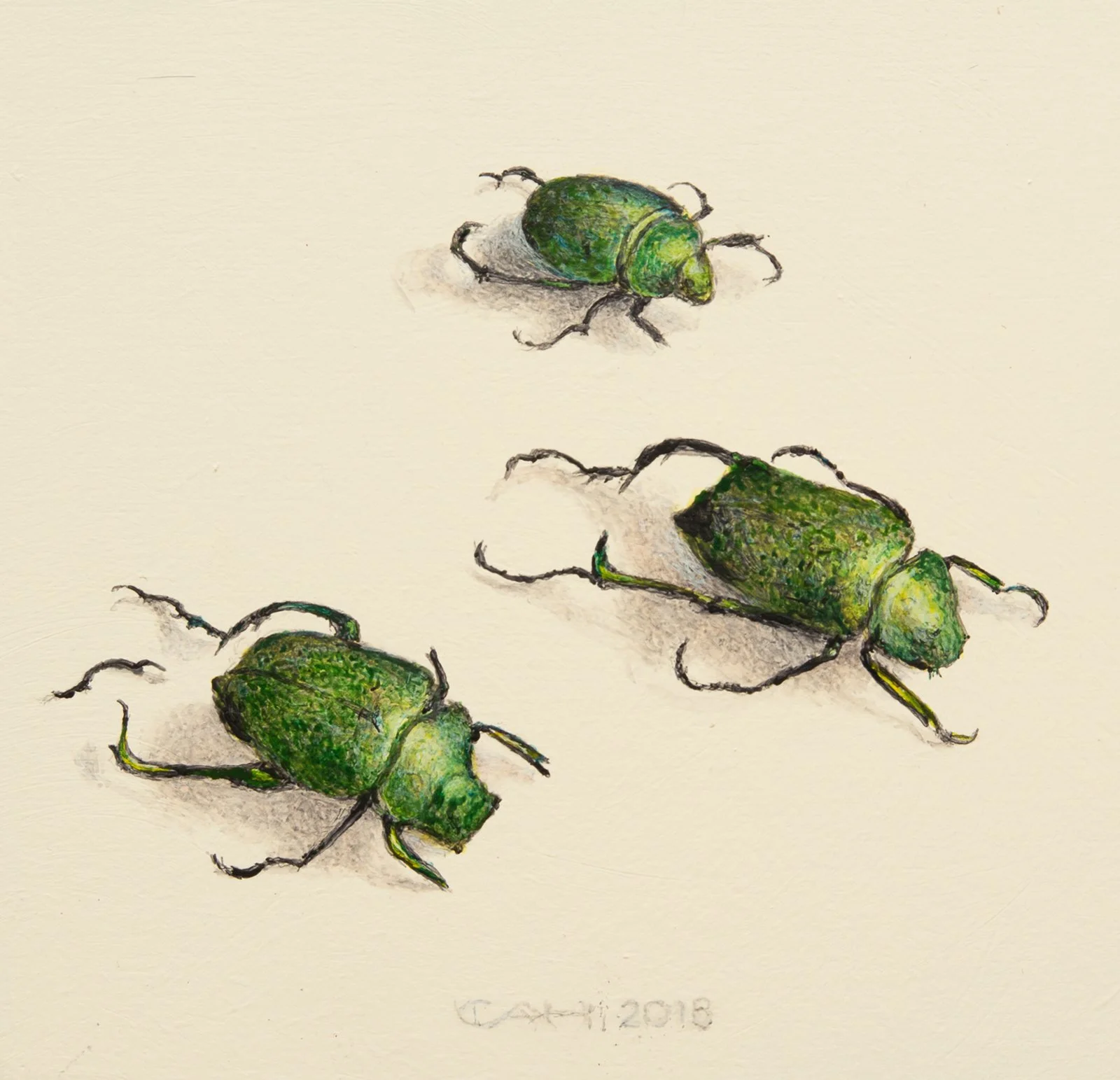 Drie kevers 13,5 x 14 cm