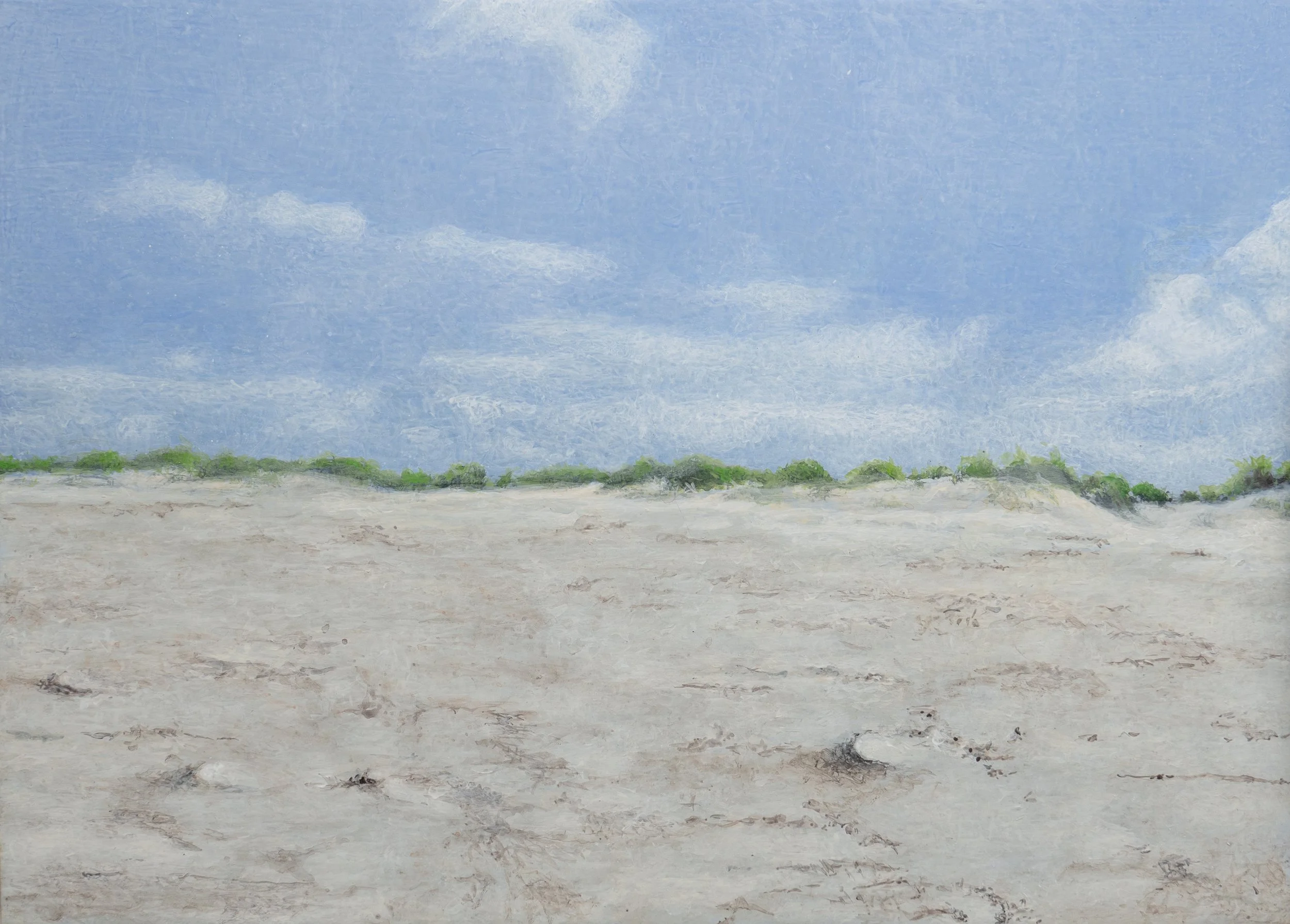 Lente II
25 x 35 cm