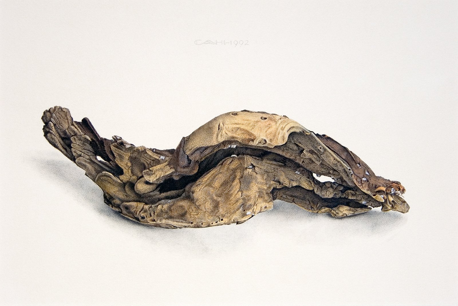 Erosie I
22 x 33 cm