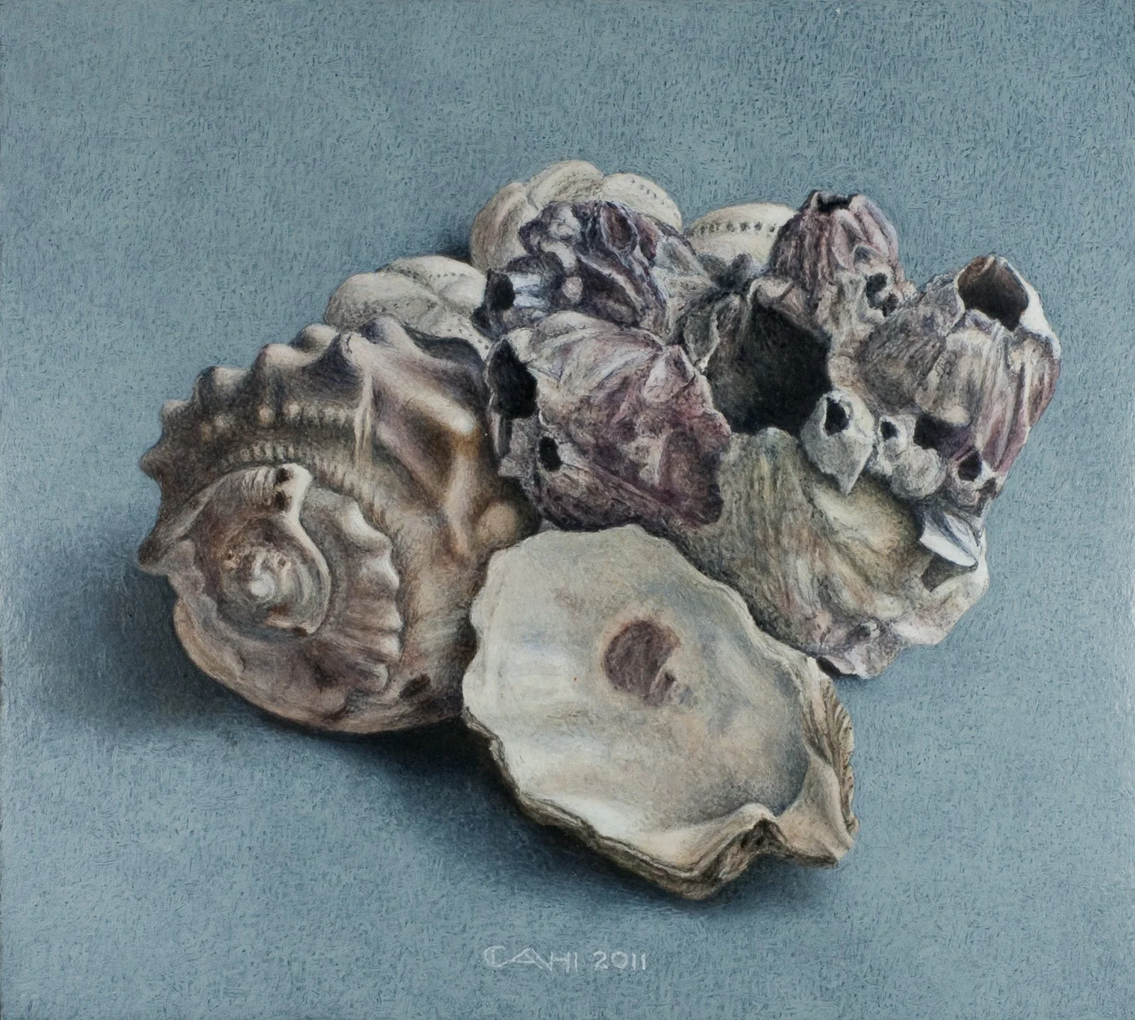 Schelpen en zeepokken
18 x 22 cm