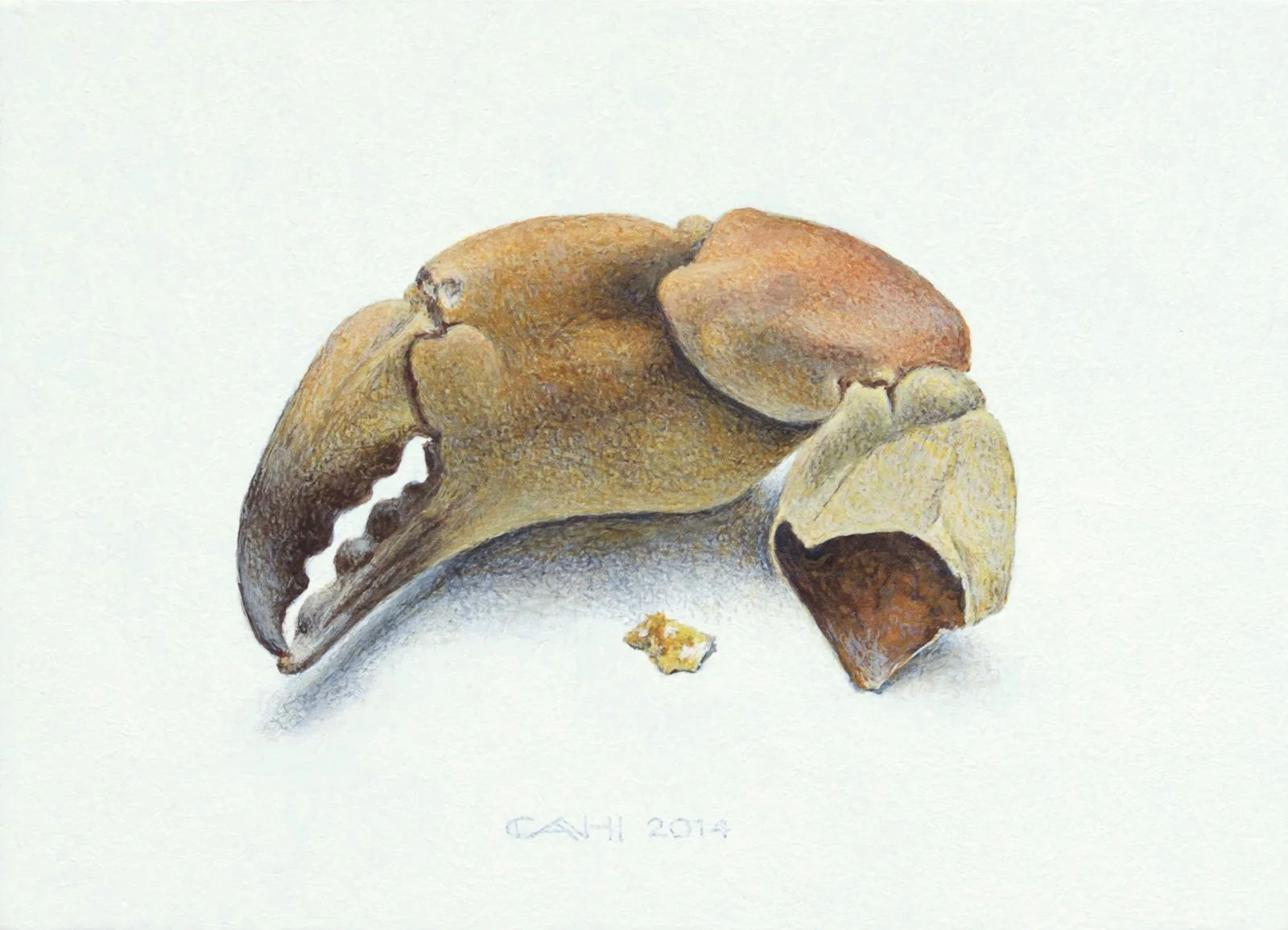Schaar
18 x 13 cm