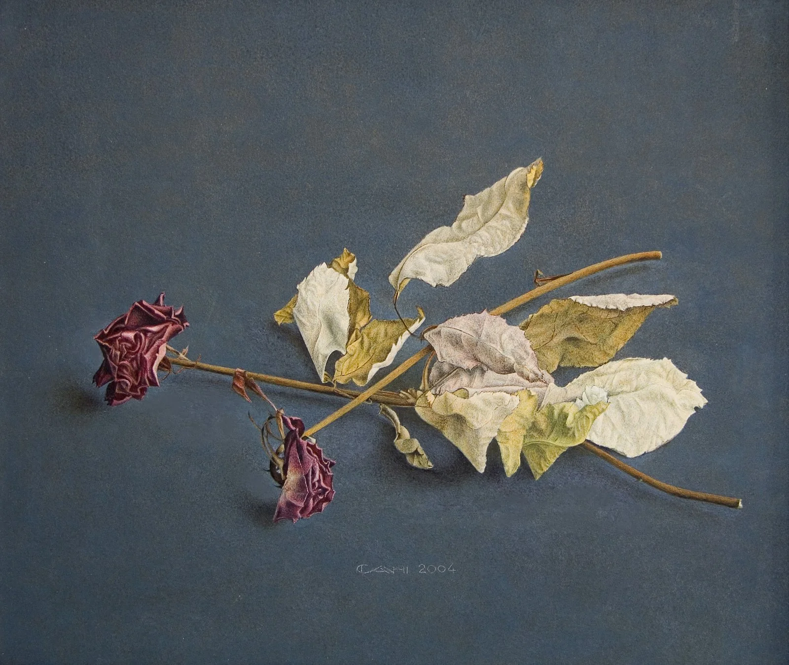 Stilleven met rode rozen
17 x 32 cm