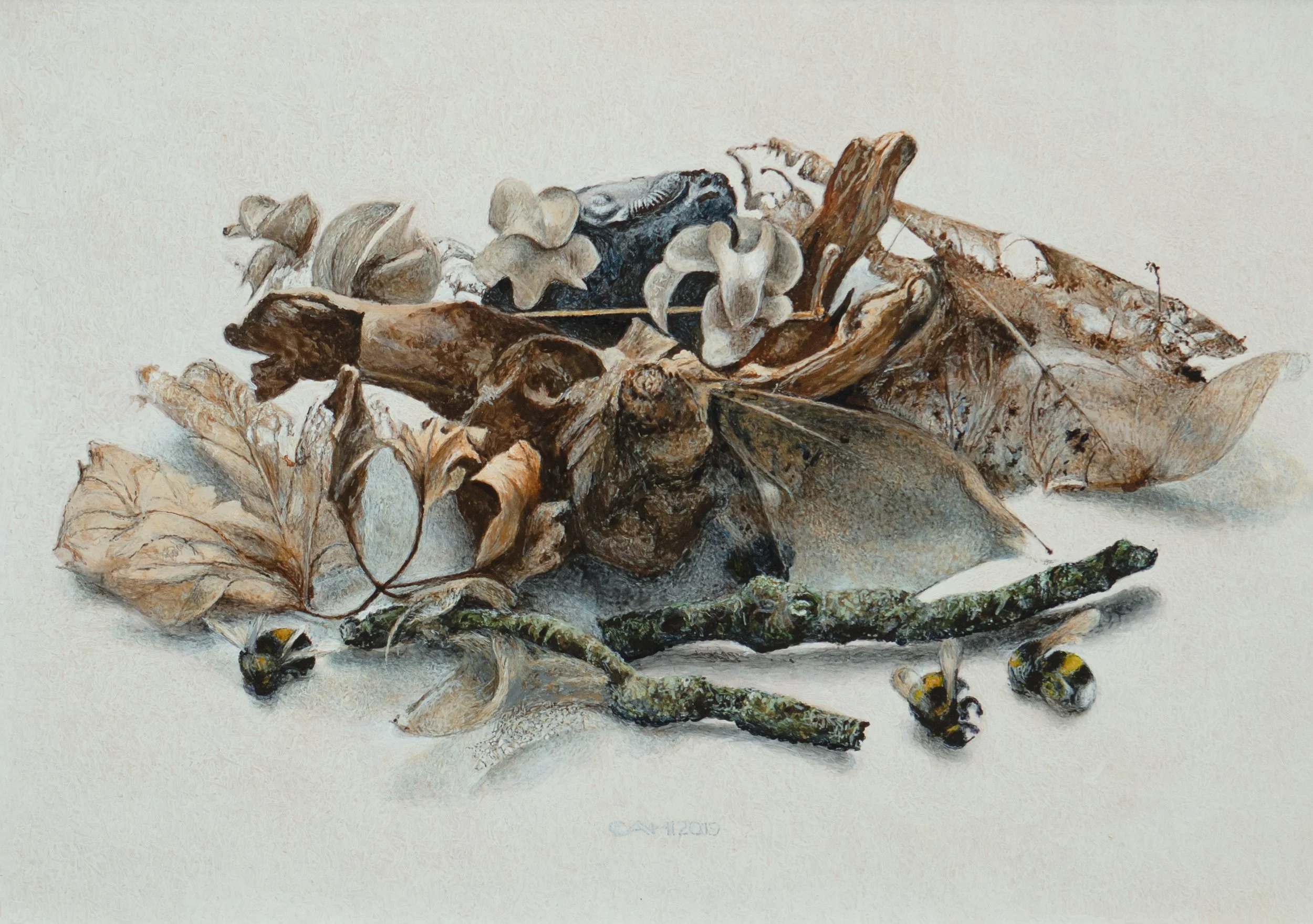 Overgebleven II
25 x 35 cm