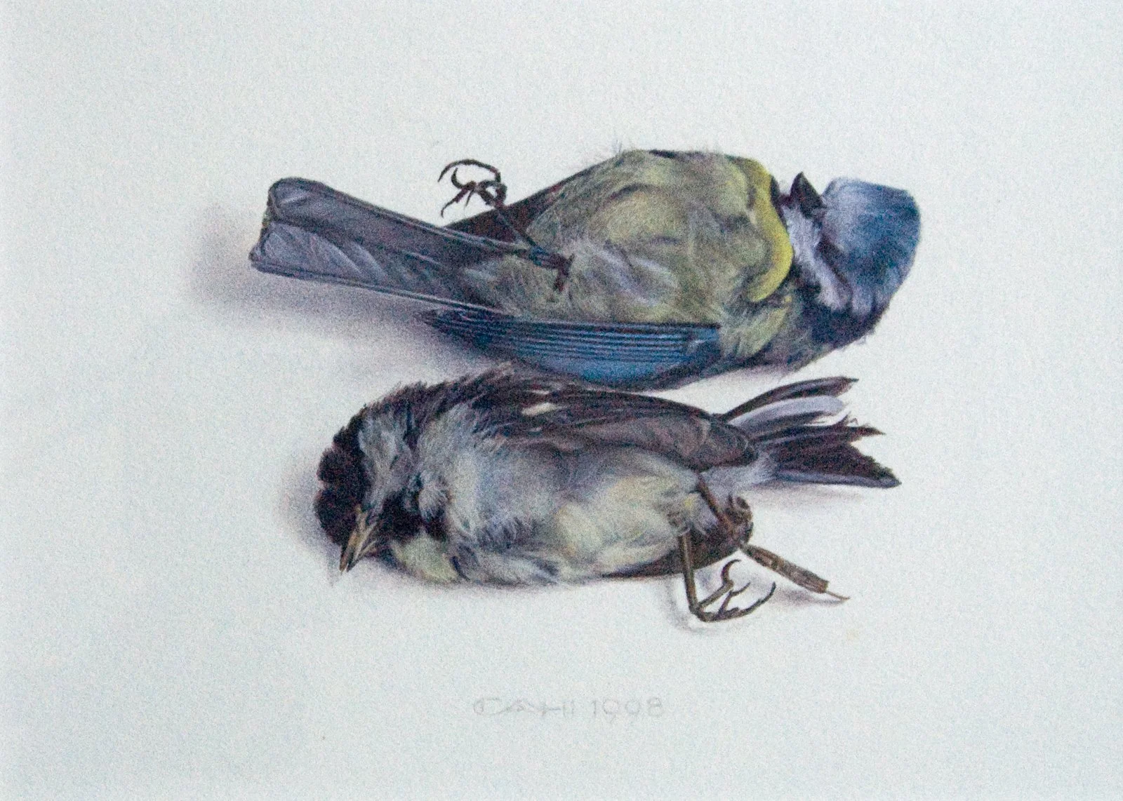 Verstild II
15 x 20,8 cm