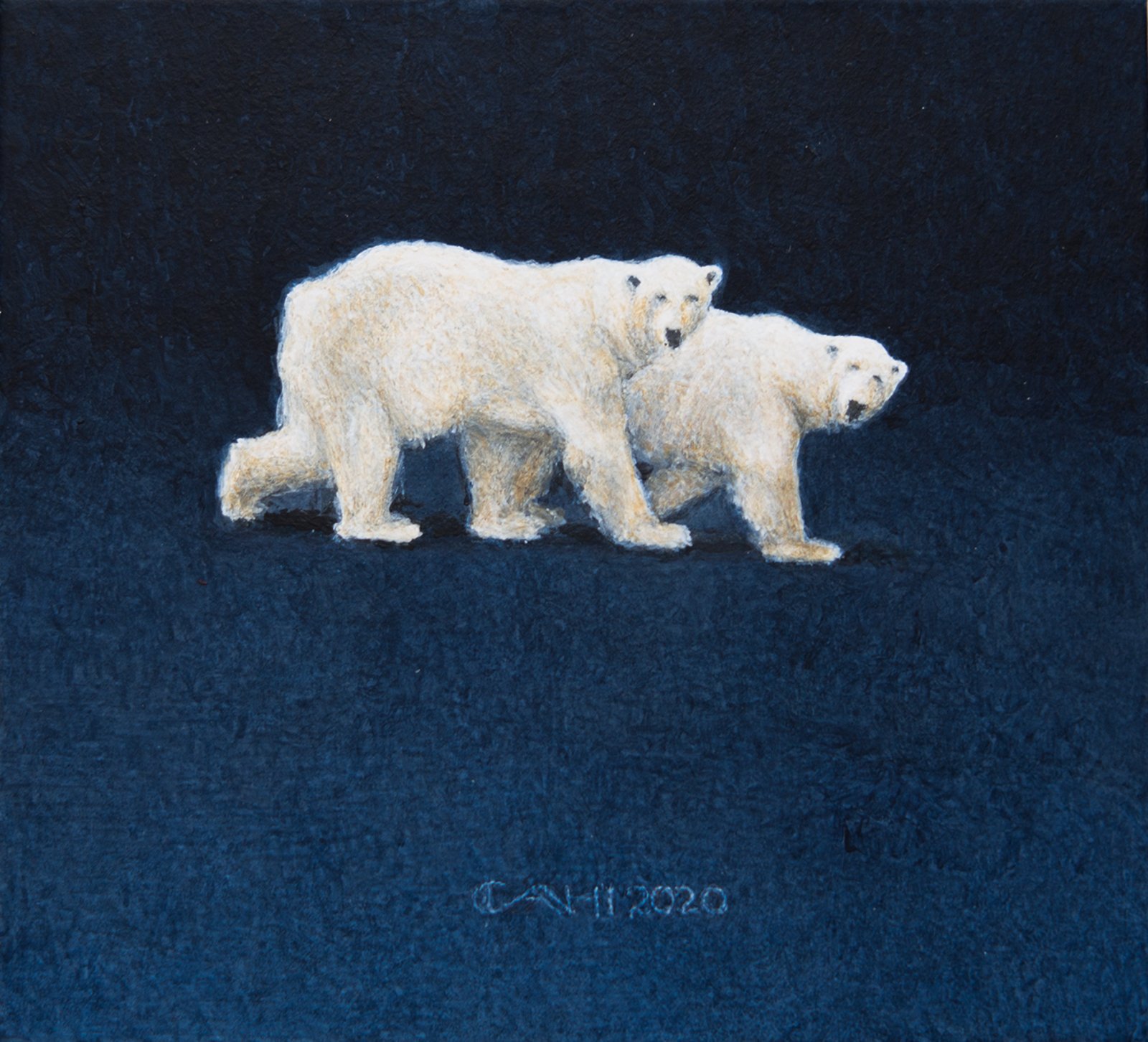 Ijsberen 12,5 x 14 cm