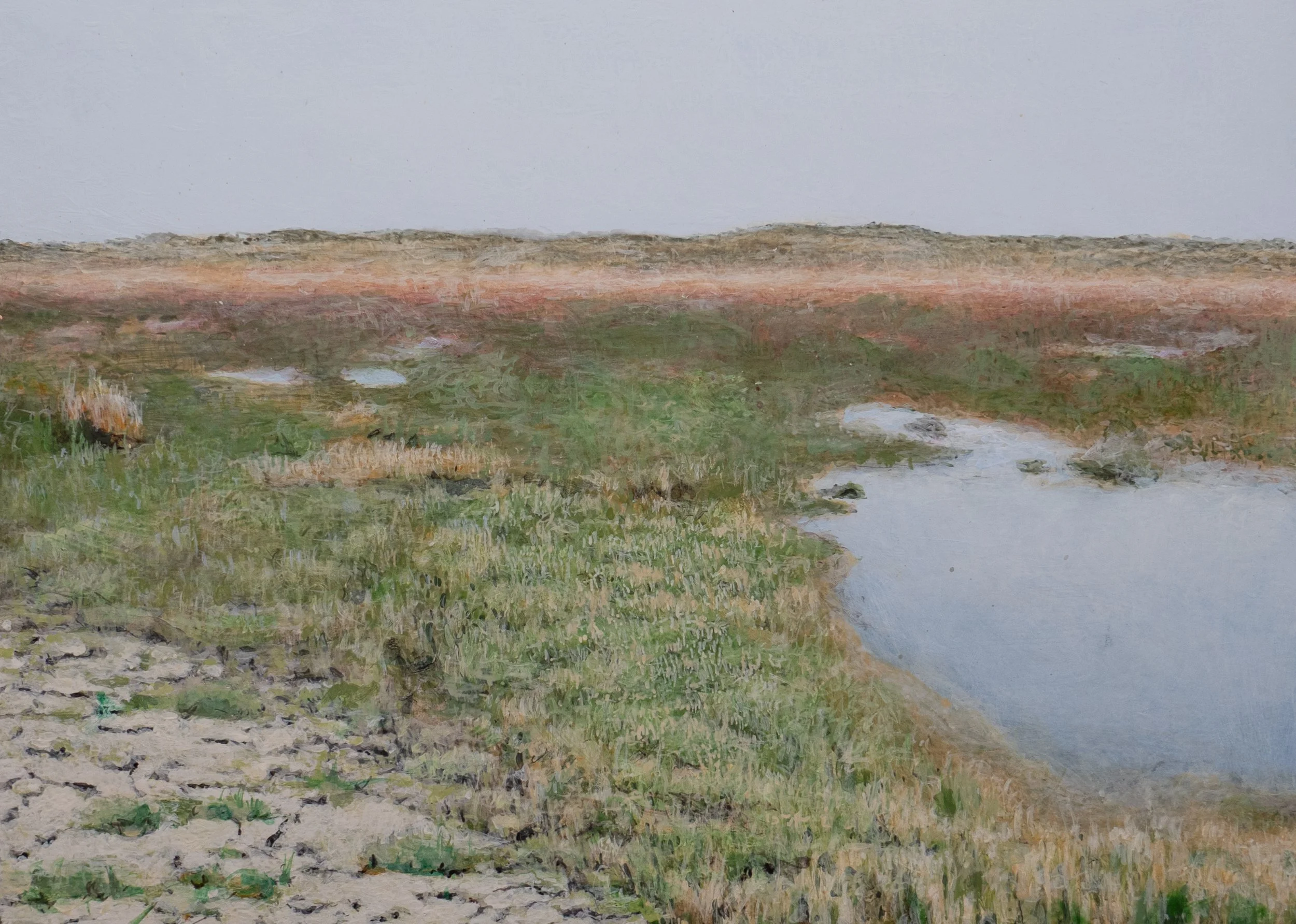 Lente III
25 x 35 cm