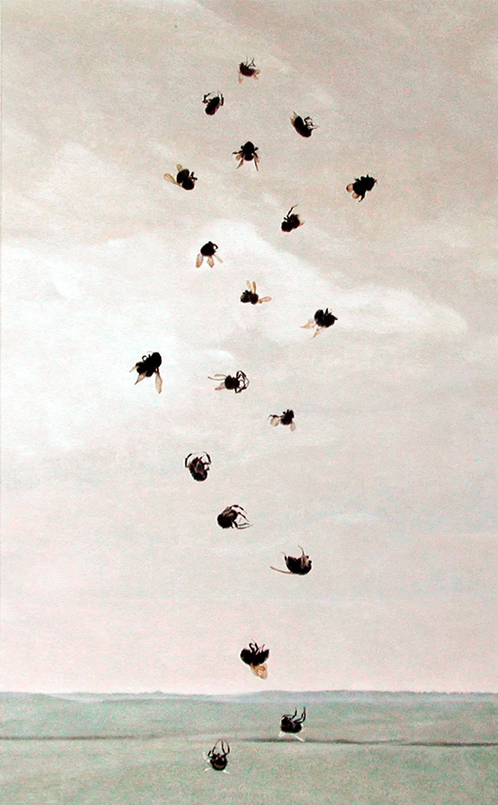 Vrije val
41 x 21,5 cm