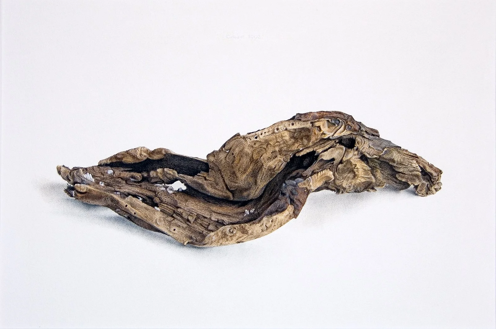 Erosie II
22 x 33 cm
