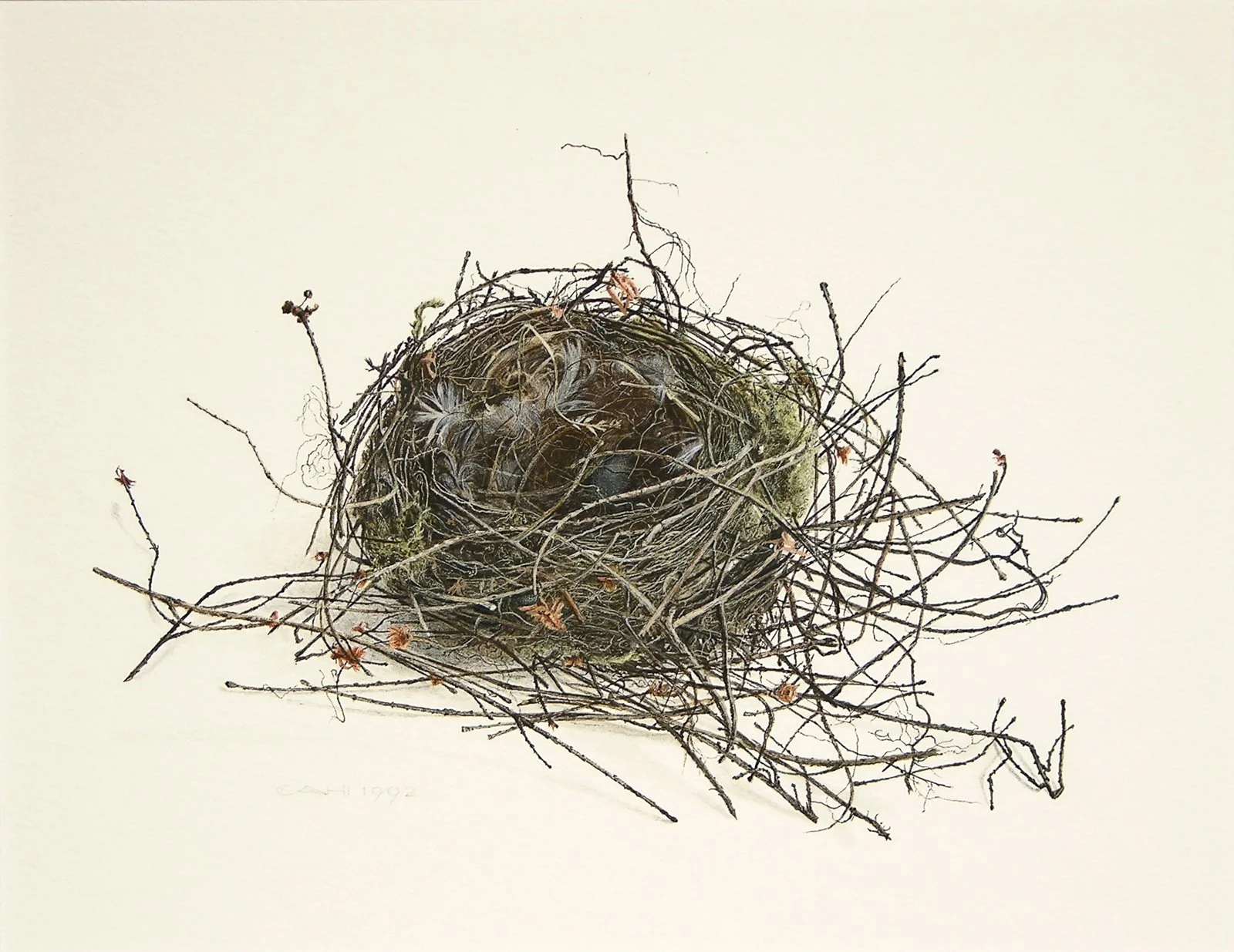 Nest
21 x 27,5