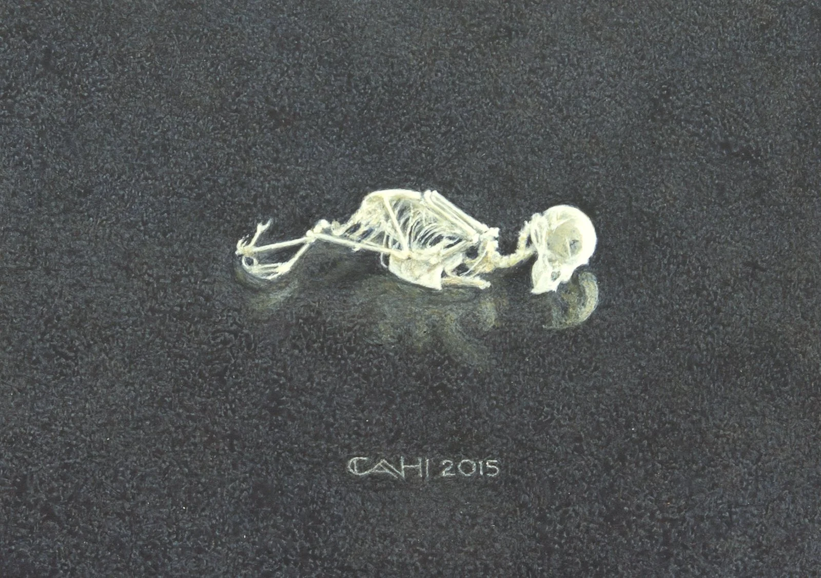 Europese kanarie
13 x 18 cm