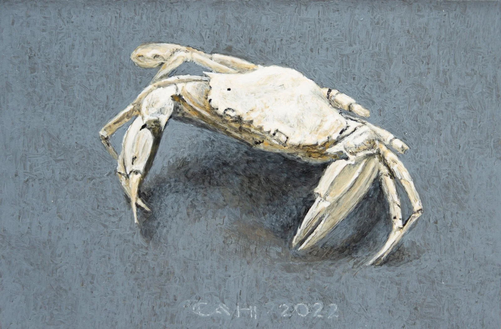 Krabbetje 10 x 15 cm.