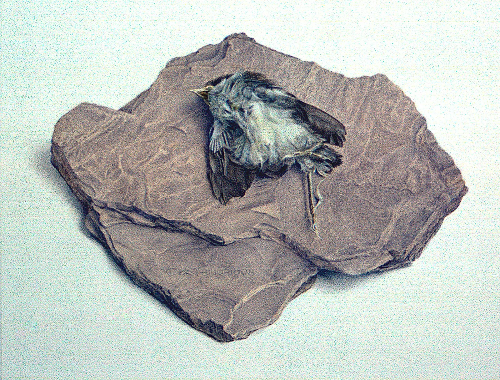 Epitaaf
16,8 x 21,7 cm