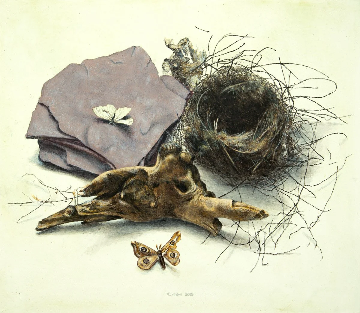 Overgebleven I
35 x 40 cm