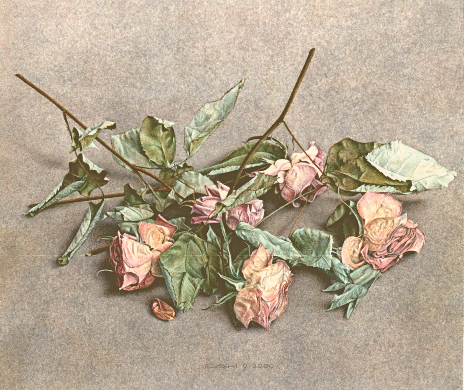 Stilleven met rozen
28 x 33 cm