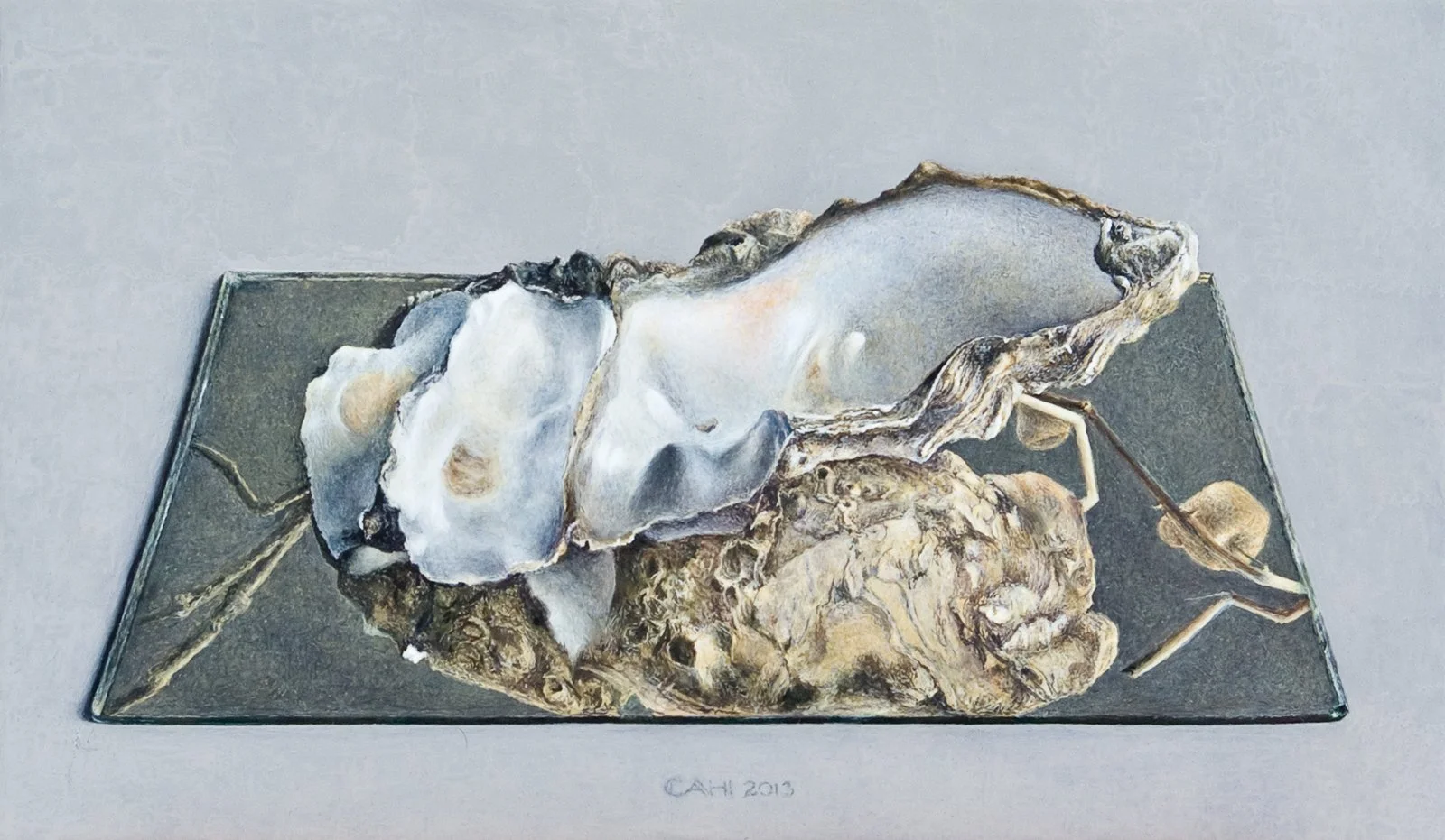 Weerspiegeld
20,3 x 34,8 cm