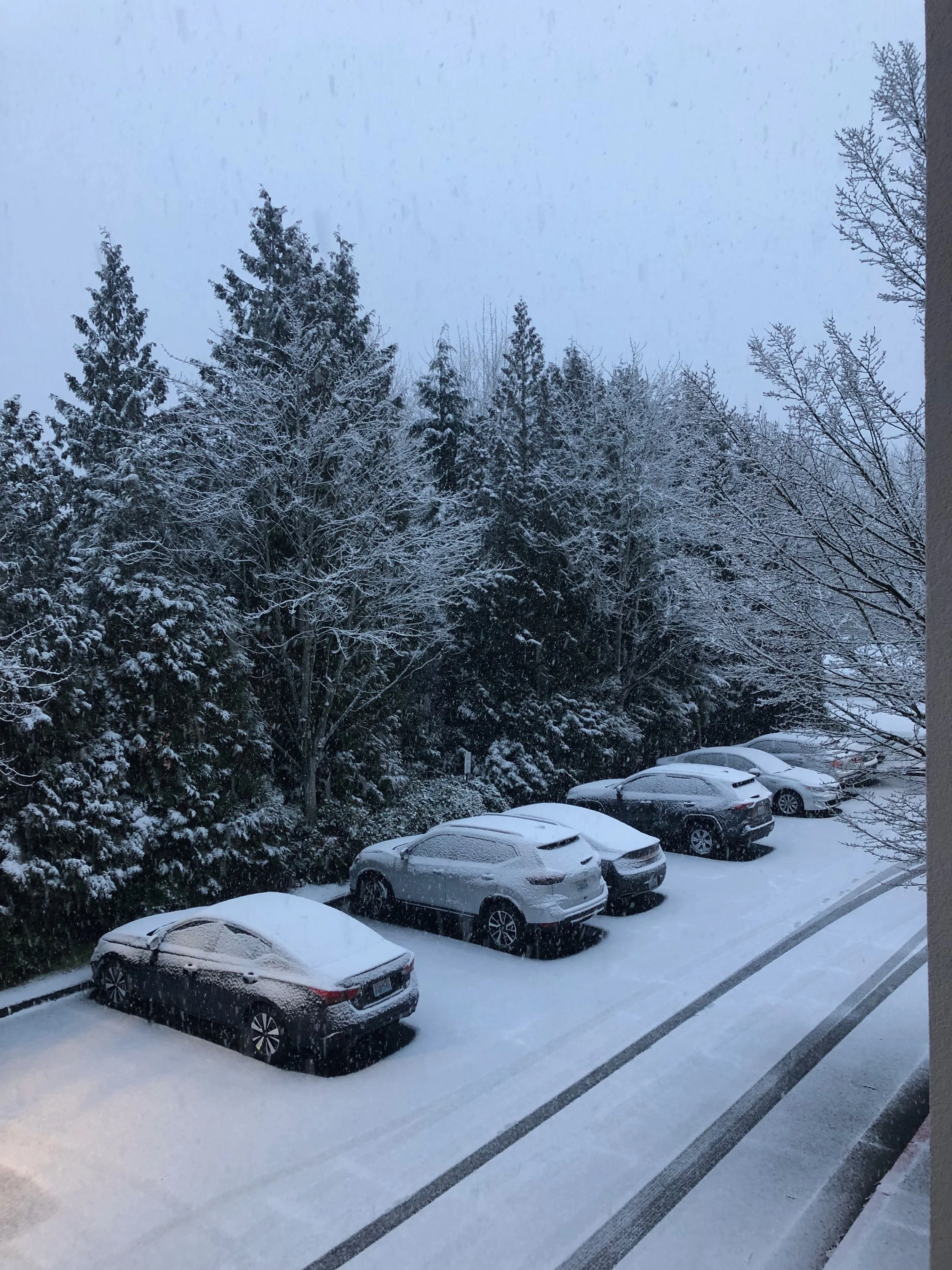 So much snow in Seattle!