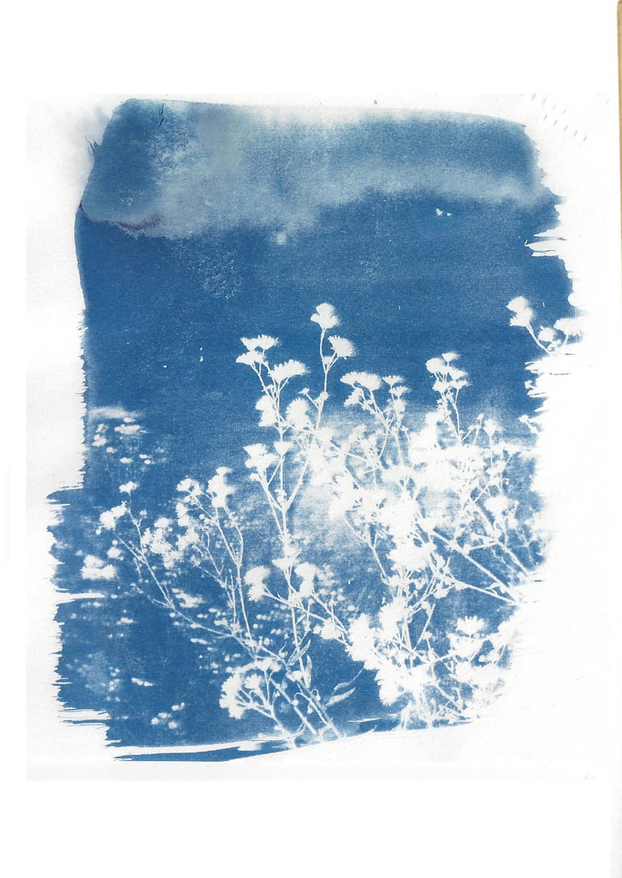 Postkartren_hochformat16_klein.jpg