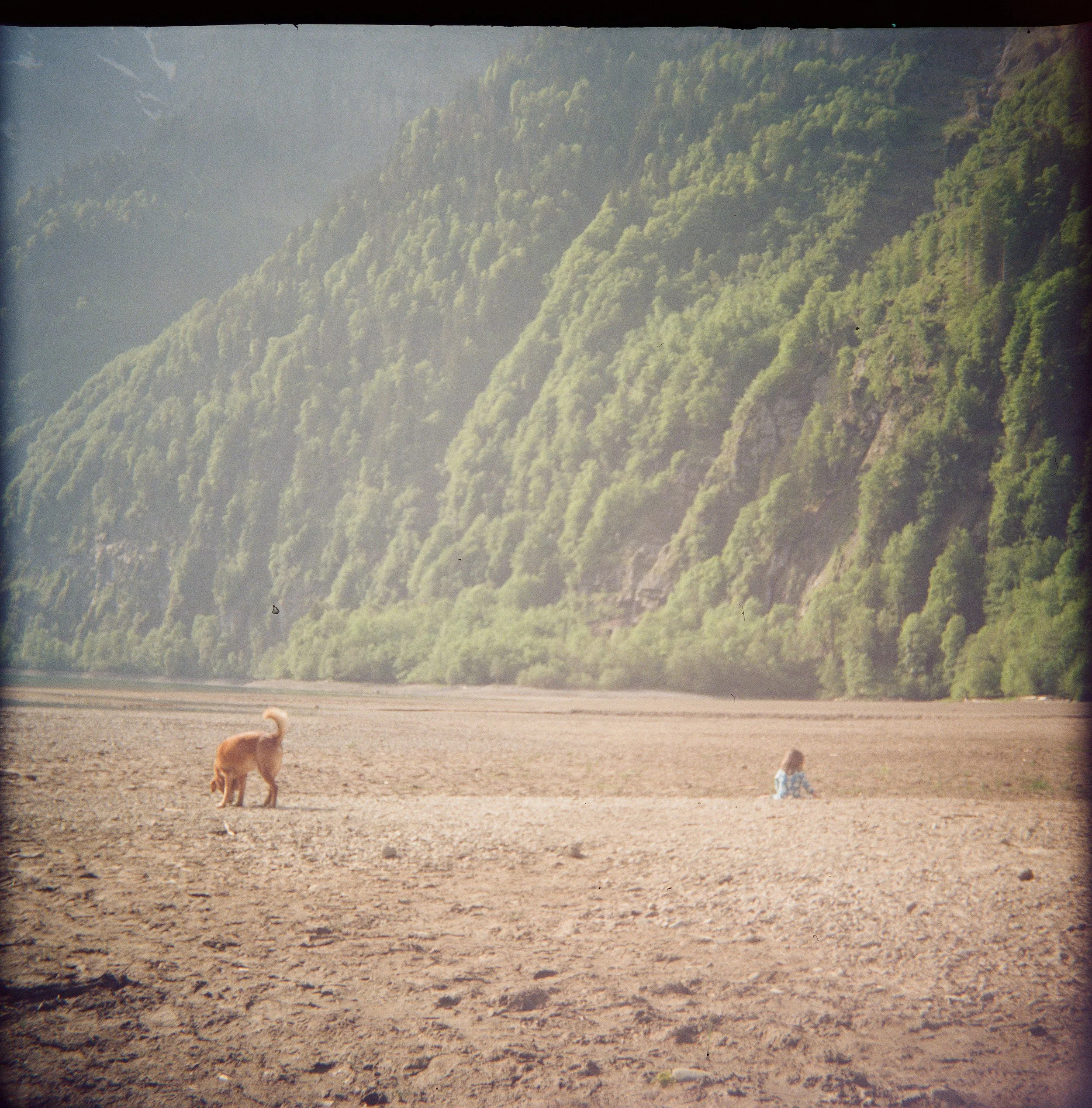 000061980009 Kopie.jpg