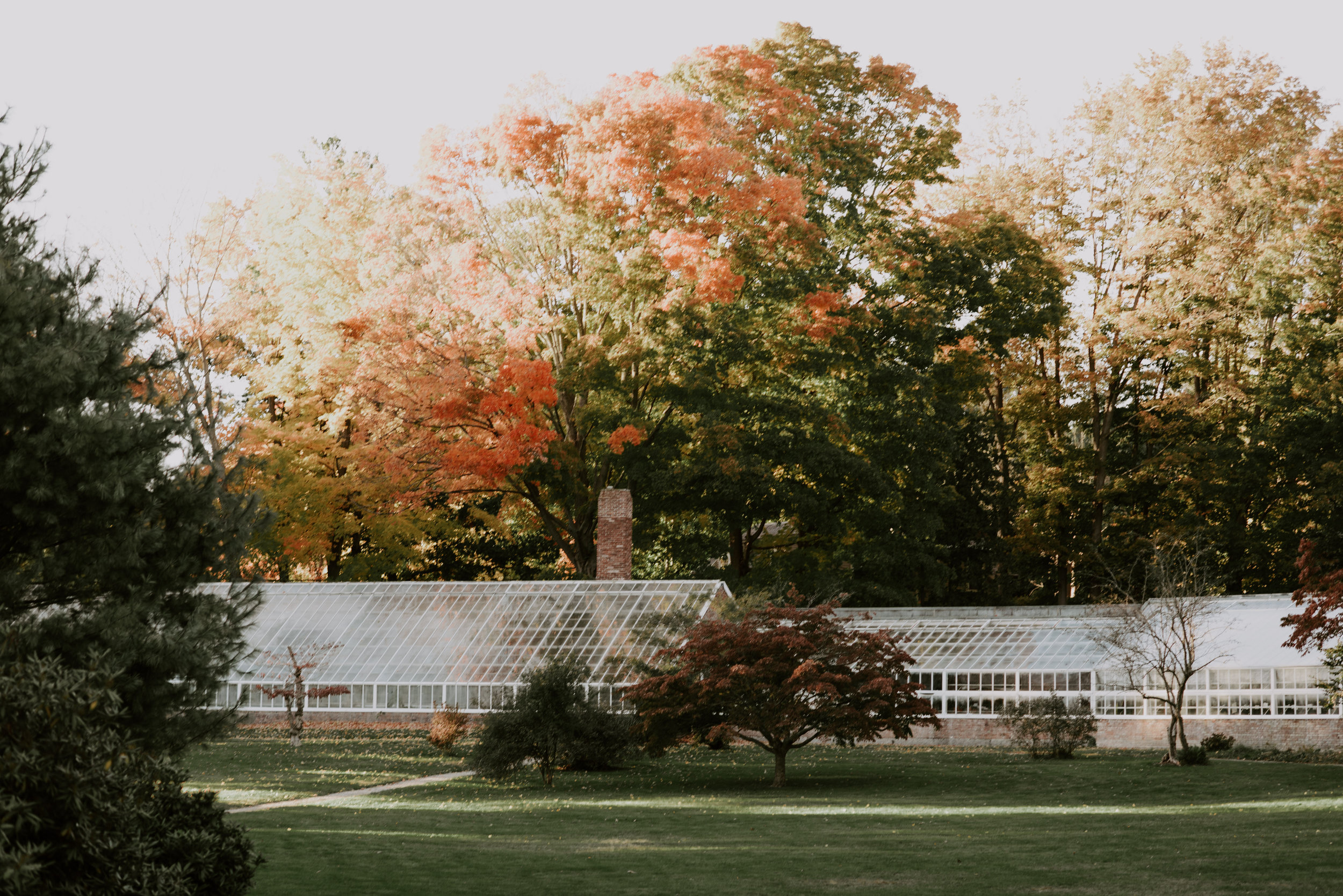 Theresa and Kyle's Romantic Greenhouse Wedding At The Lyman Estate | Boston Wedding Photographer | Madeline Rose Photography Co.
