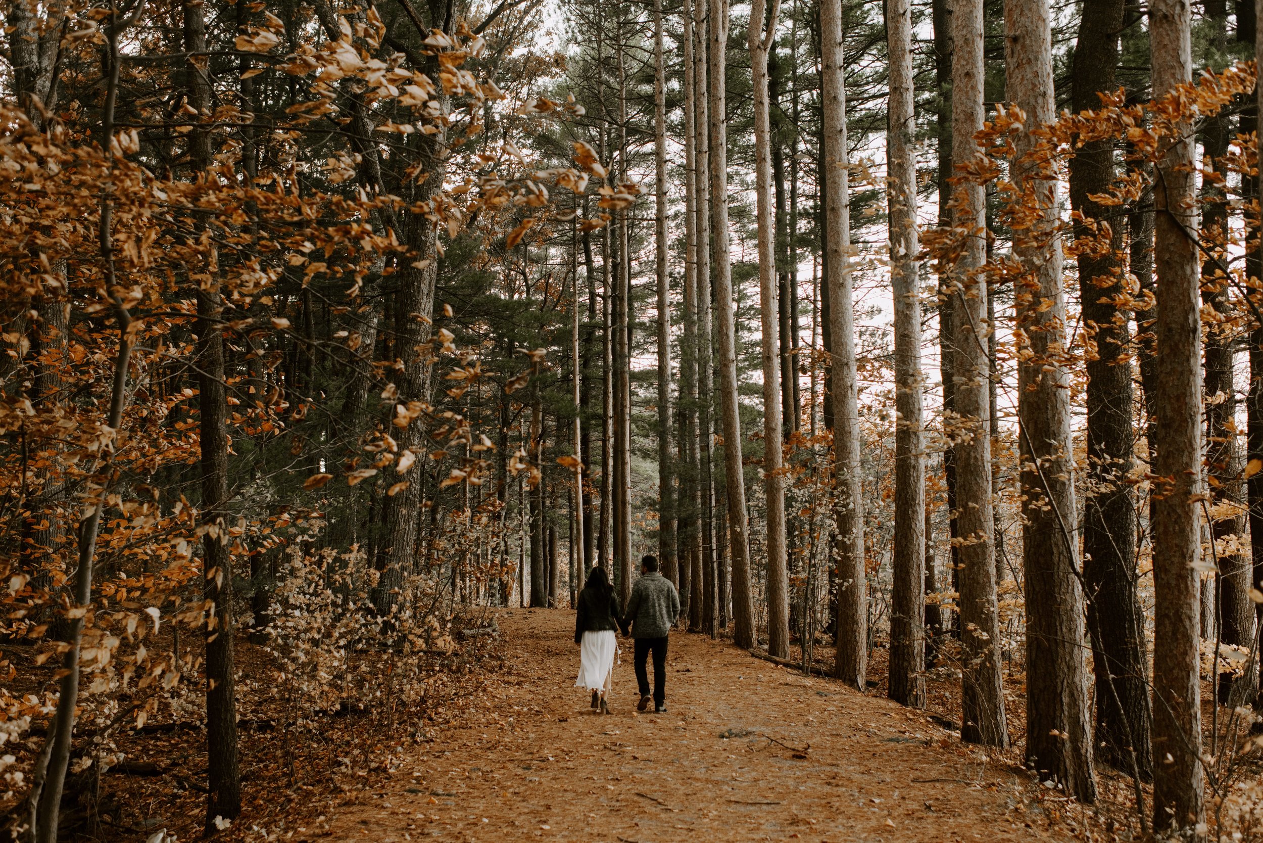 boston fall foliage engagement session at middlesex fells | boston wedding photographer