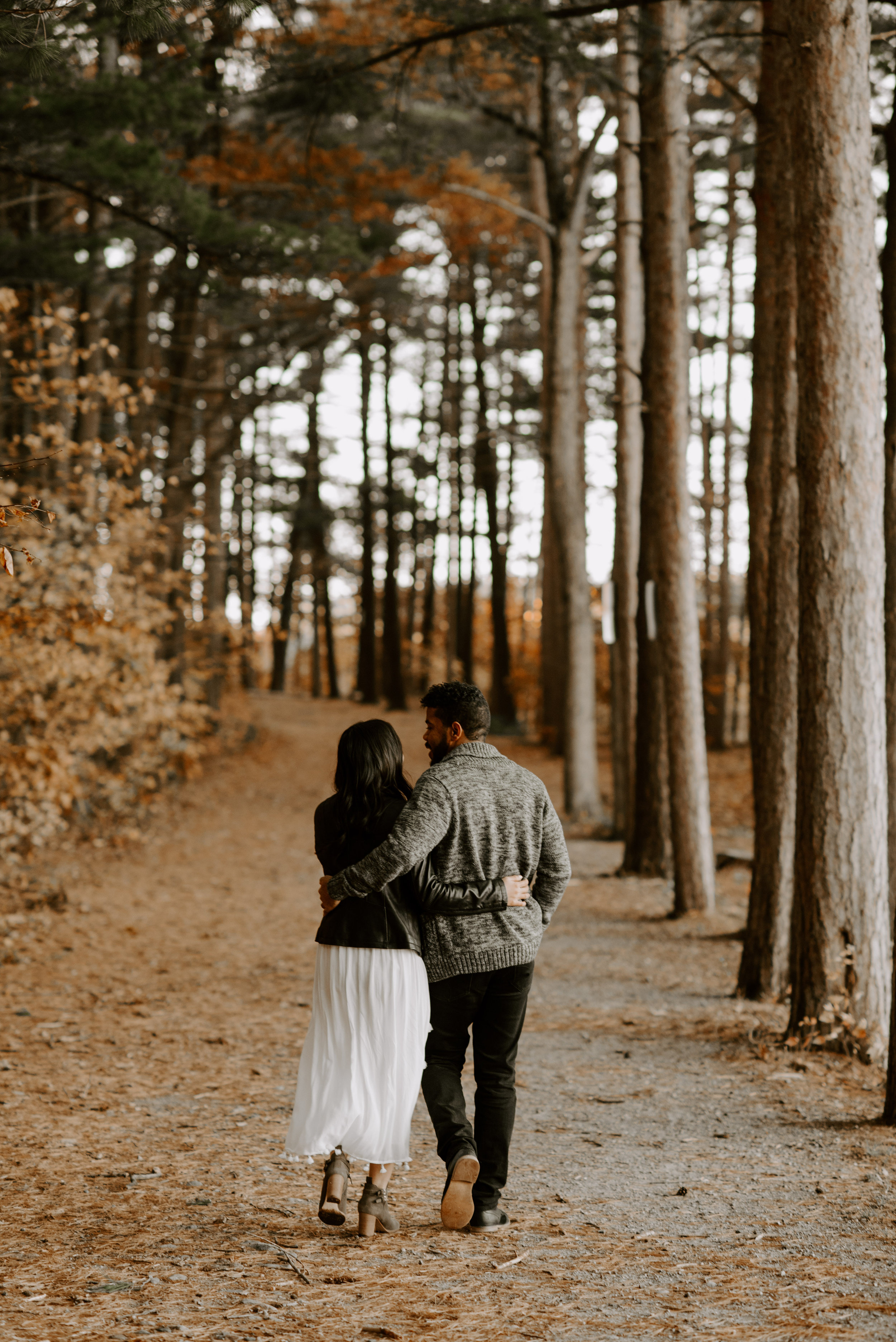 boston fall foliage engagement session at middlesex fells | boston wedding photographer