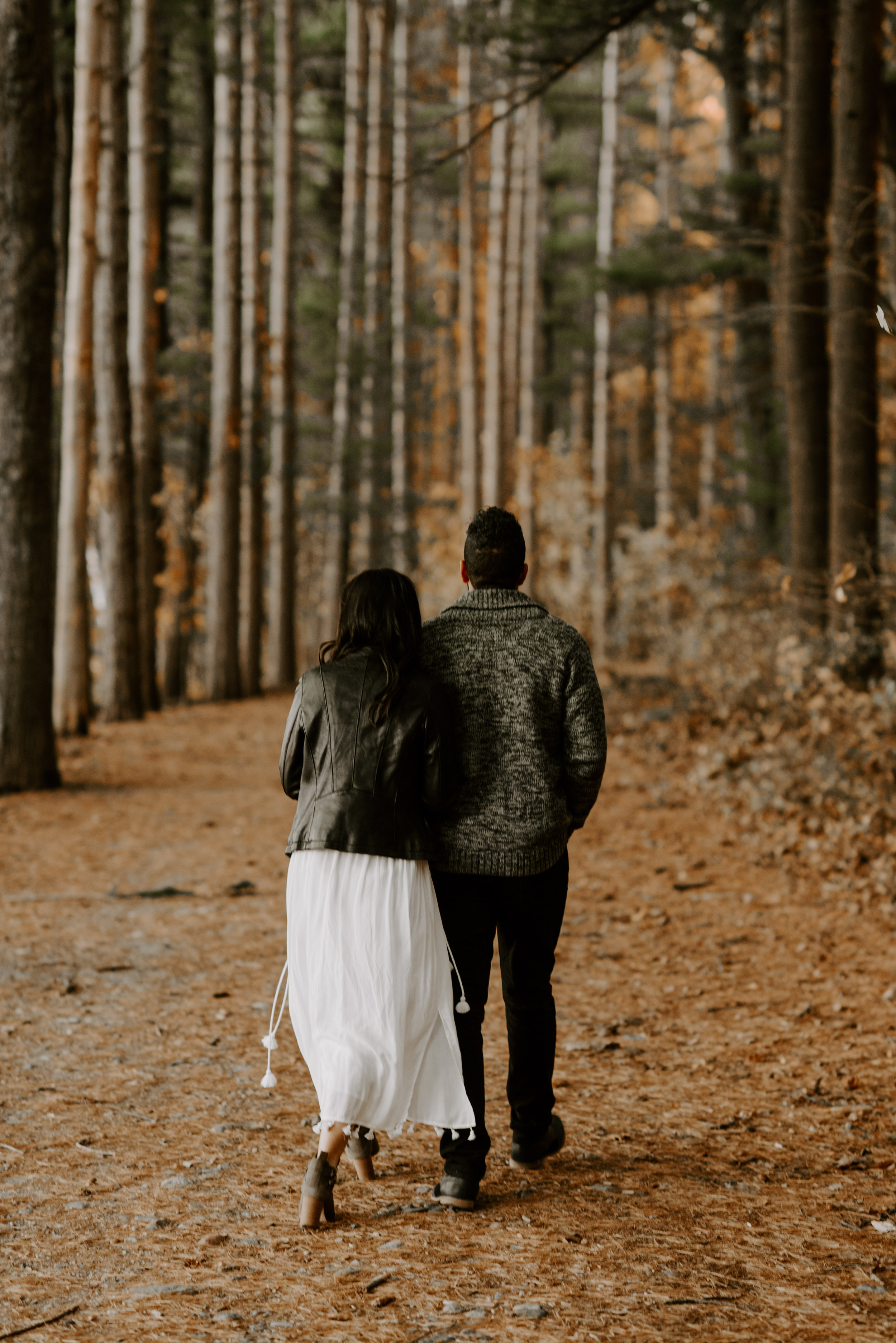 boston fall foliage engagement session at middlesex fells | boston wedding photographer