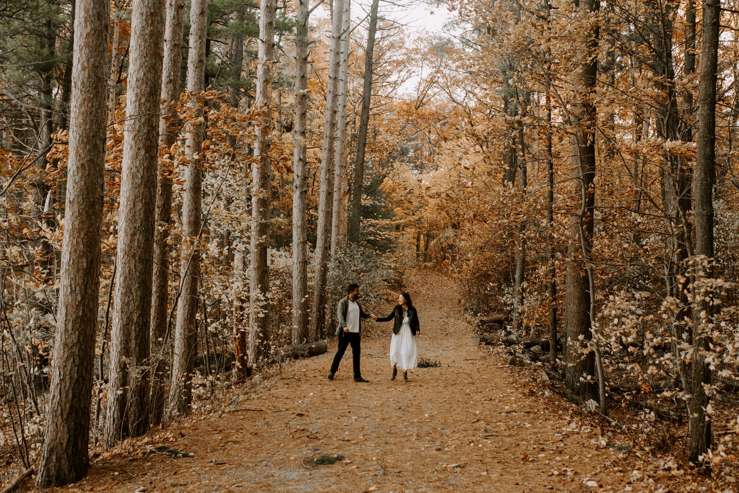 boston fall foliage engagement session at middlesex fells | boston wedding photographer