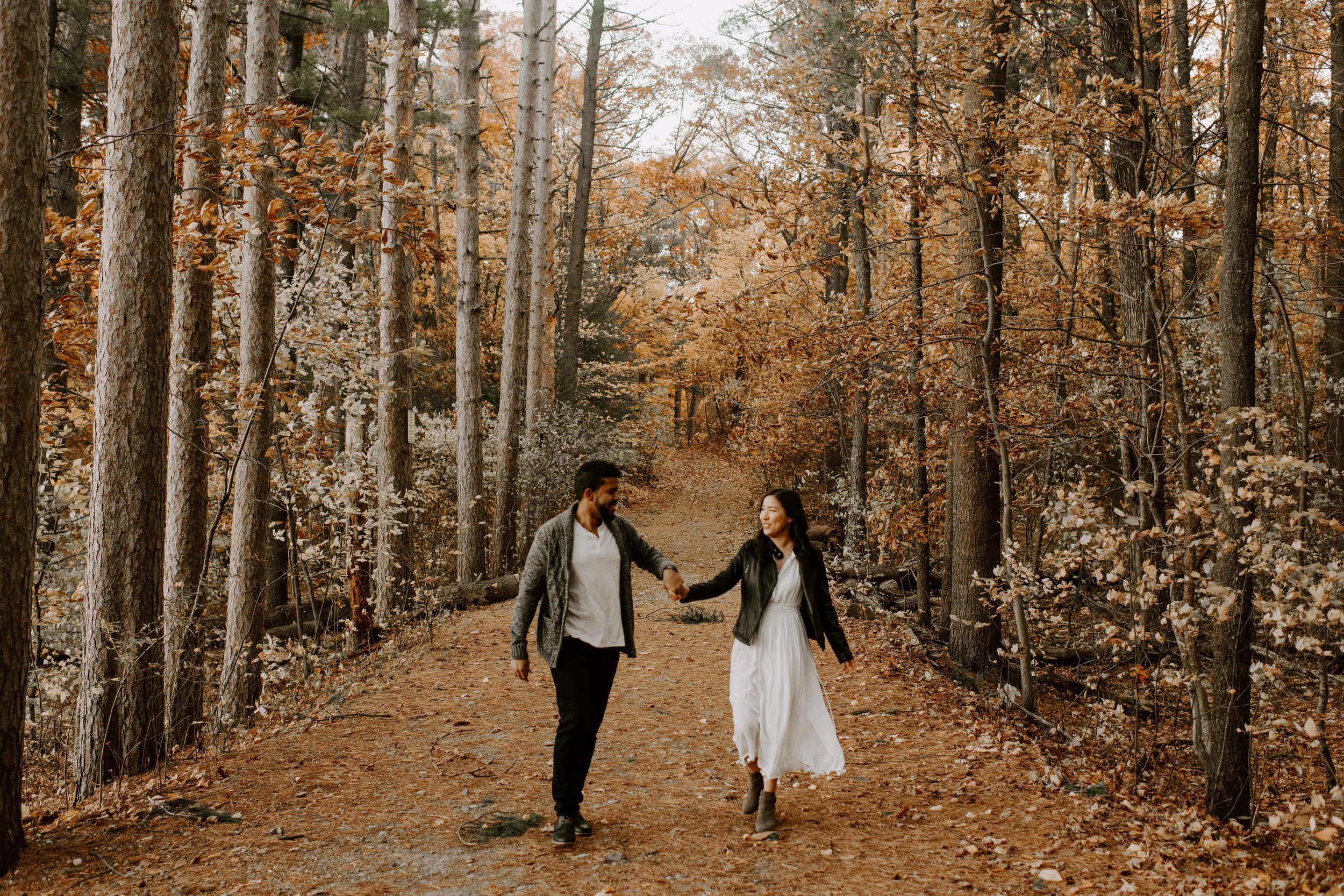 boston fall foliage engagement session at middlesex fells | boston wedding photographer