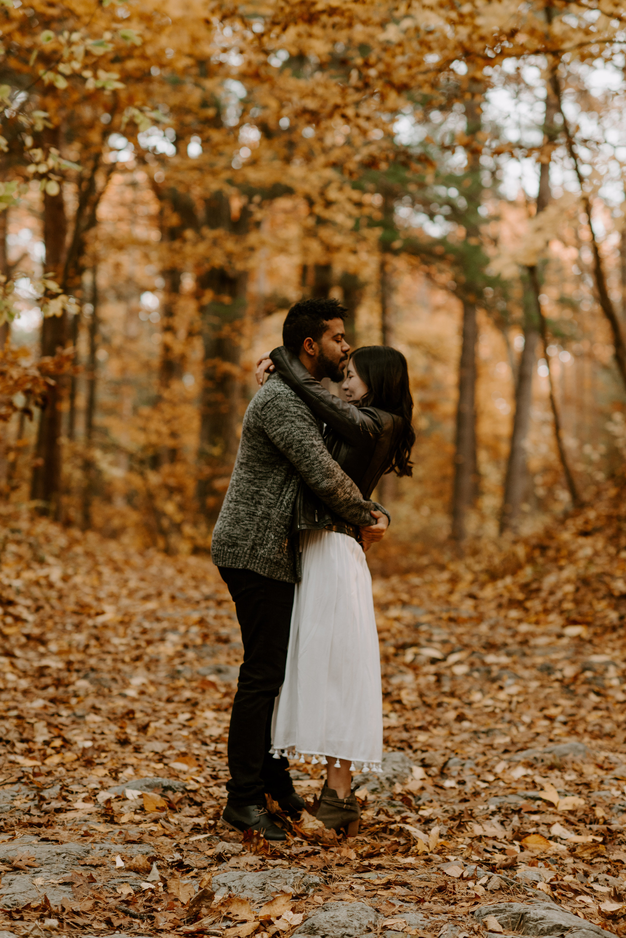 boston fall foliage engagement session at middlesex fells | boston wedding photographer