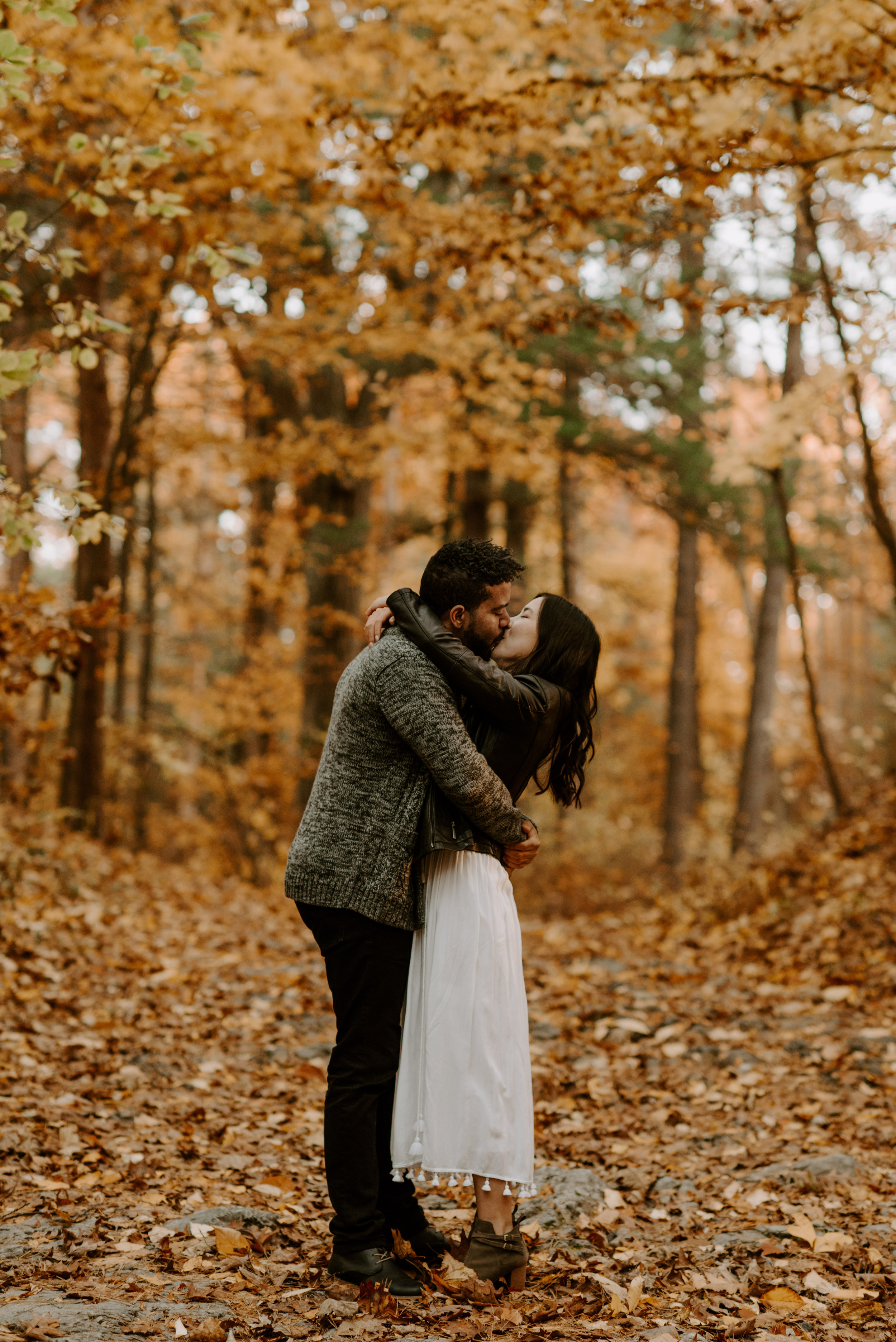 boston fall foliage engagement session at middlesex fells | boston wedding photographer